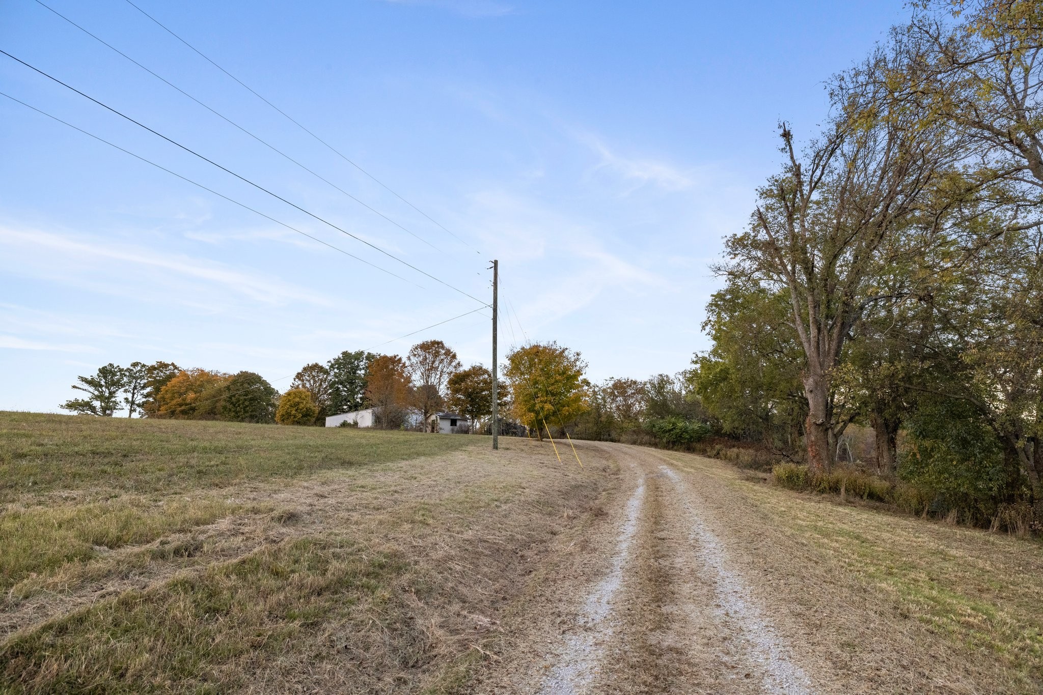 7924 Nolensville Rd
