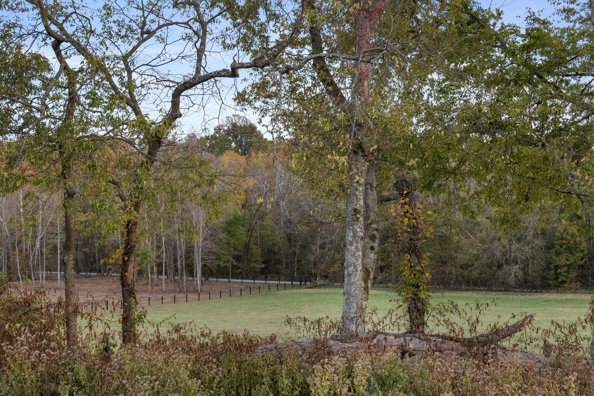 7924 Nolensville Rd