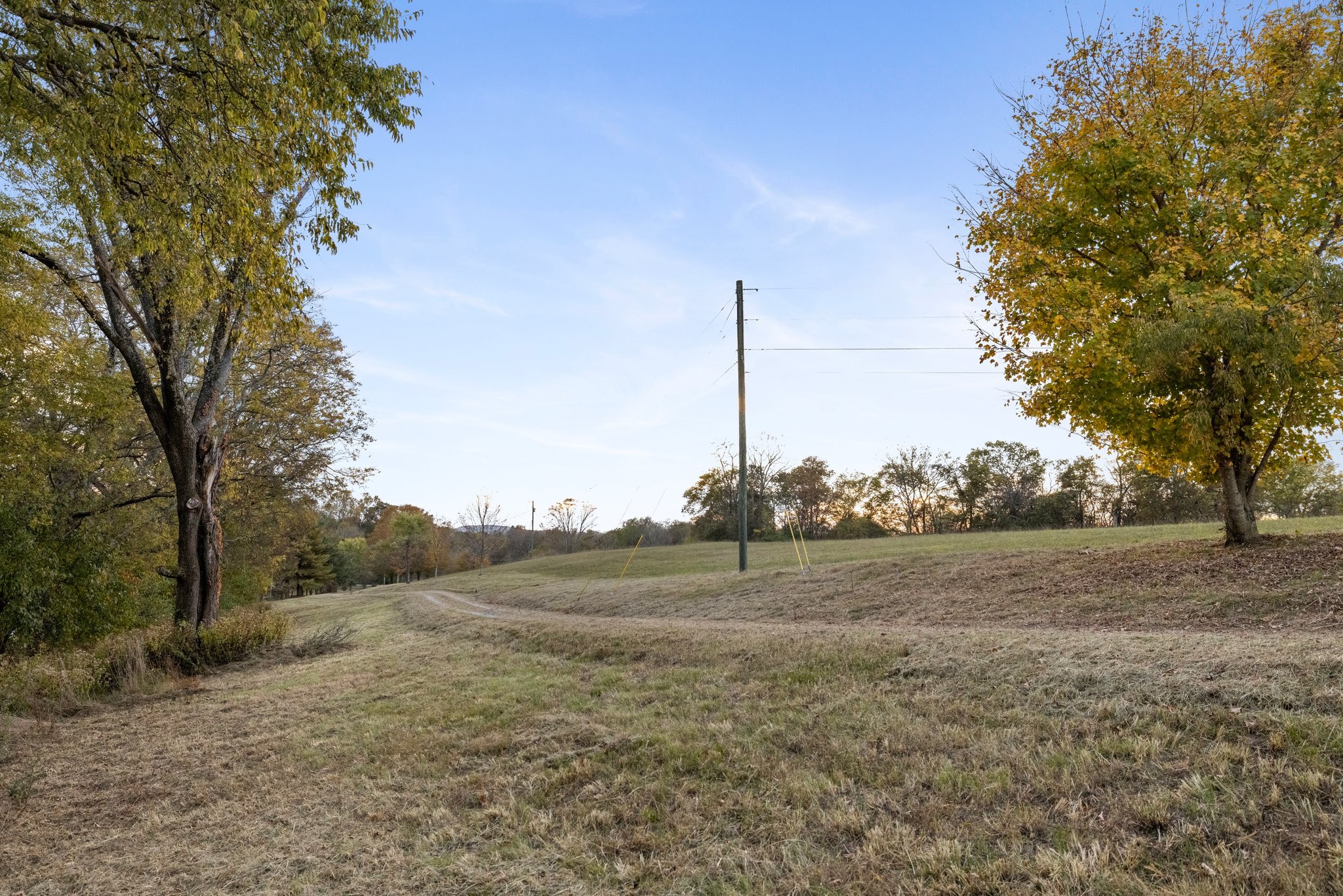 7924 Nolensville Rd