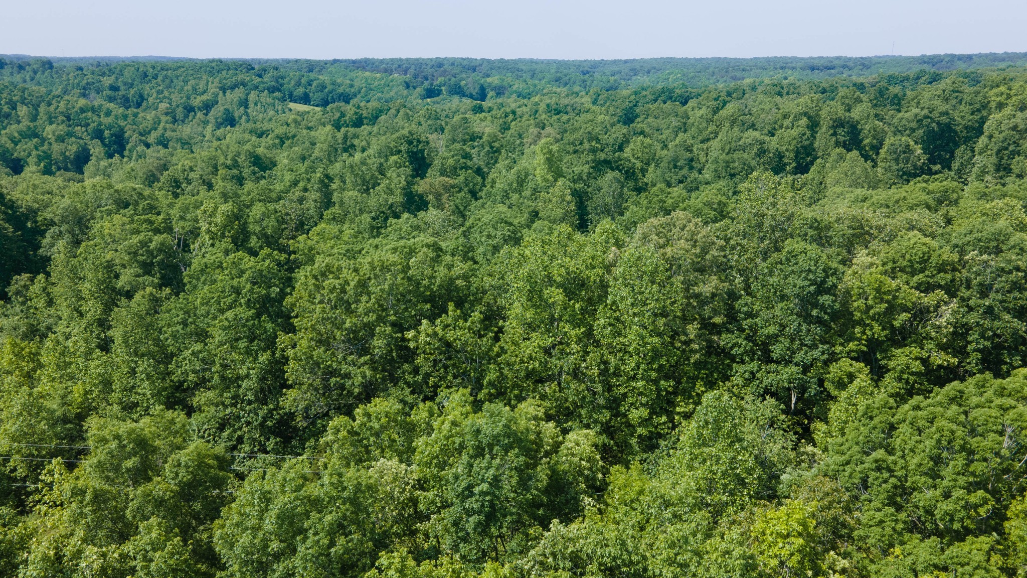 0 King and Caney Fork Rd