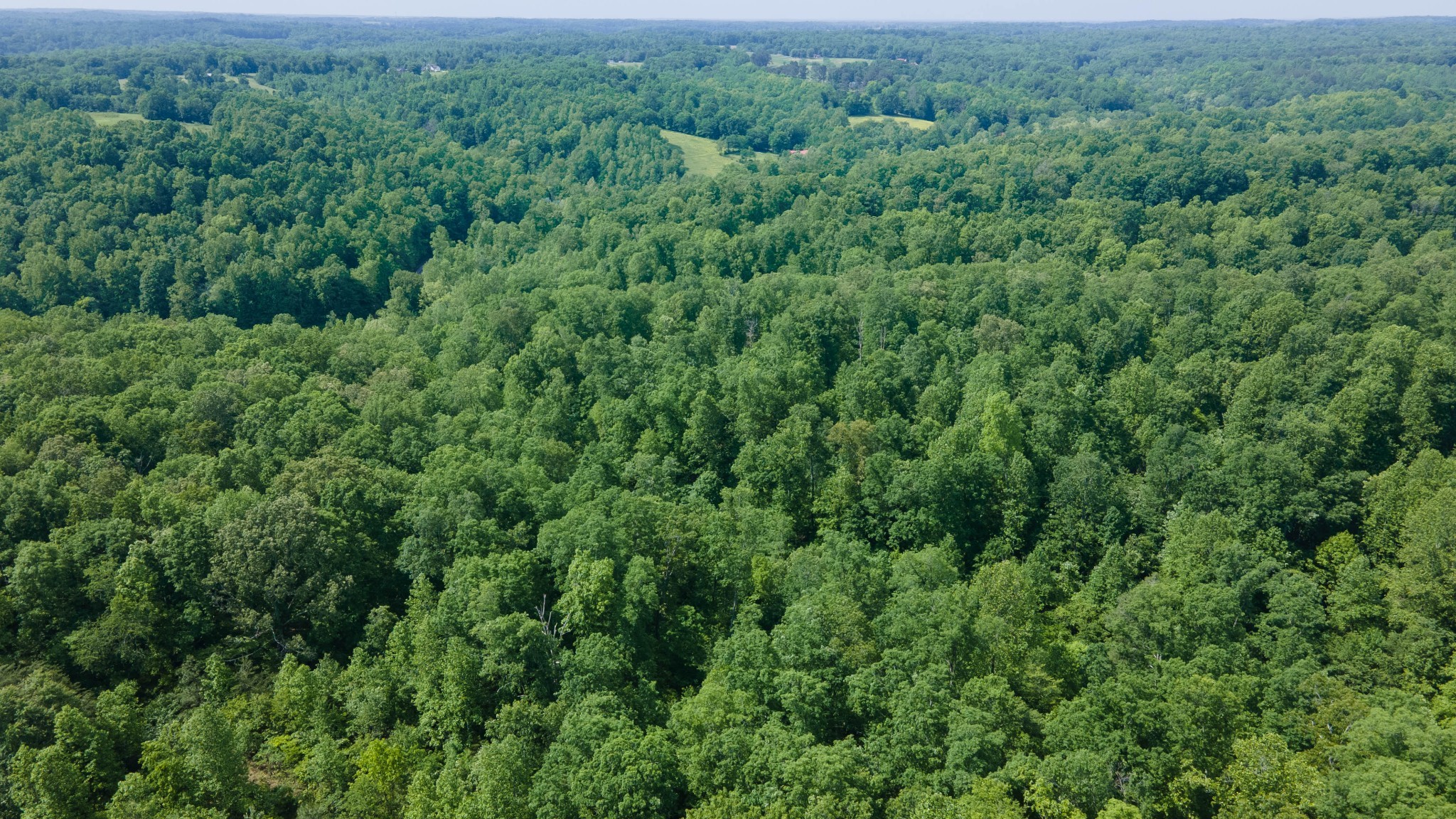 0 King and Caney Fork Rd