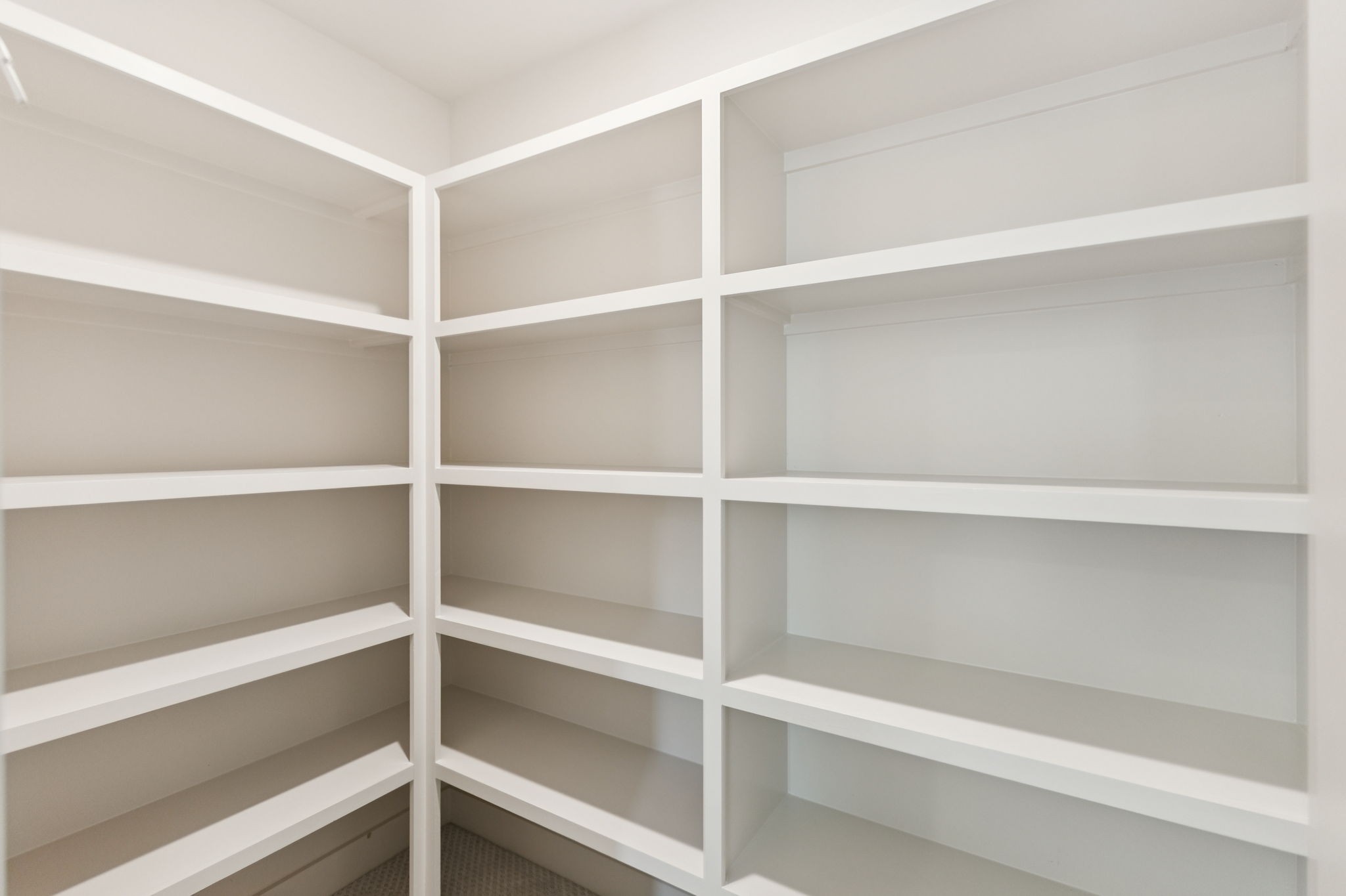 2935 Avenue Downs Dr