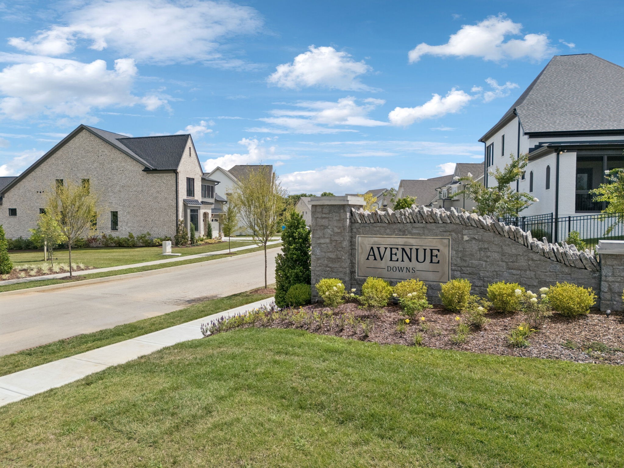 2935 Avenue Downs Dr