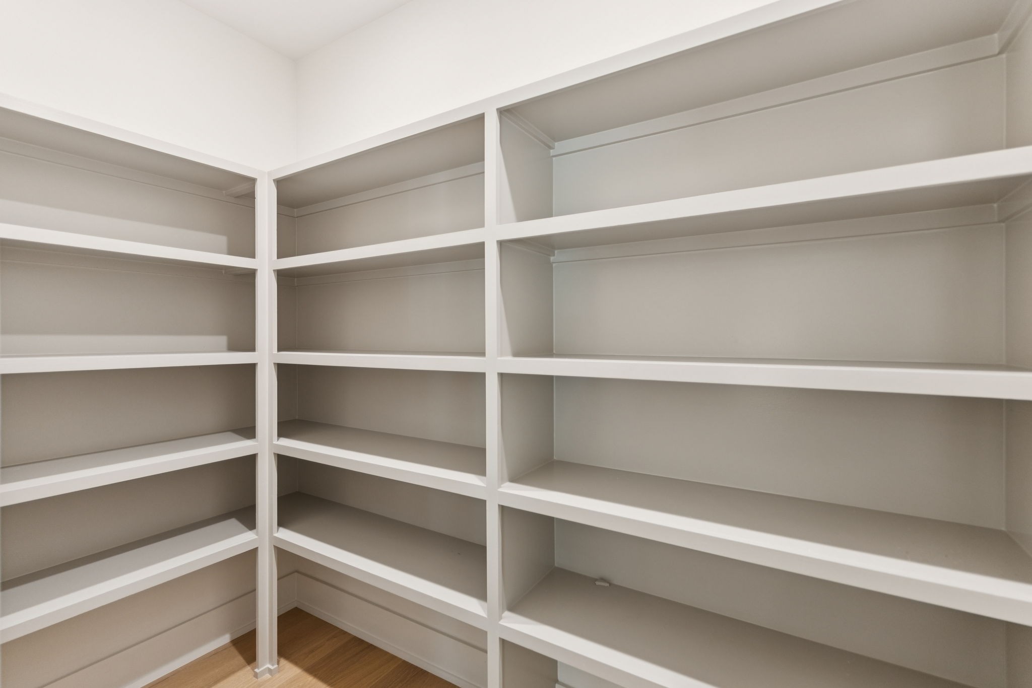 2935 Avenue Downs Dr