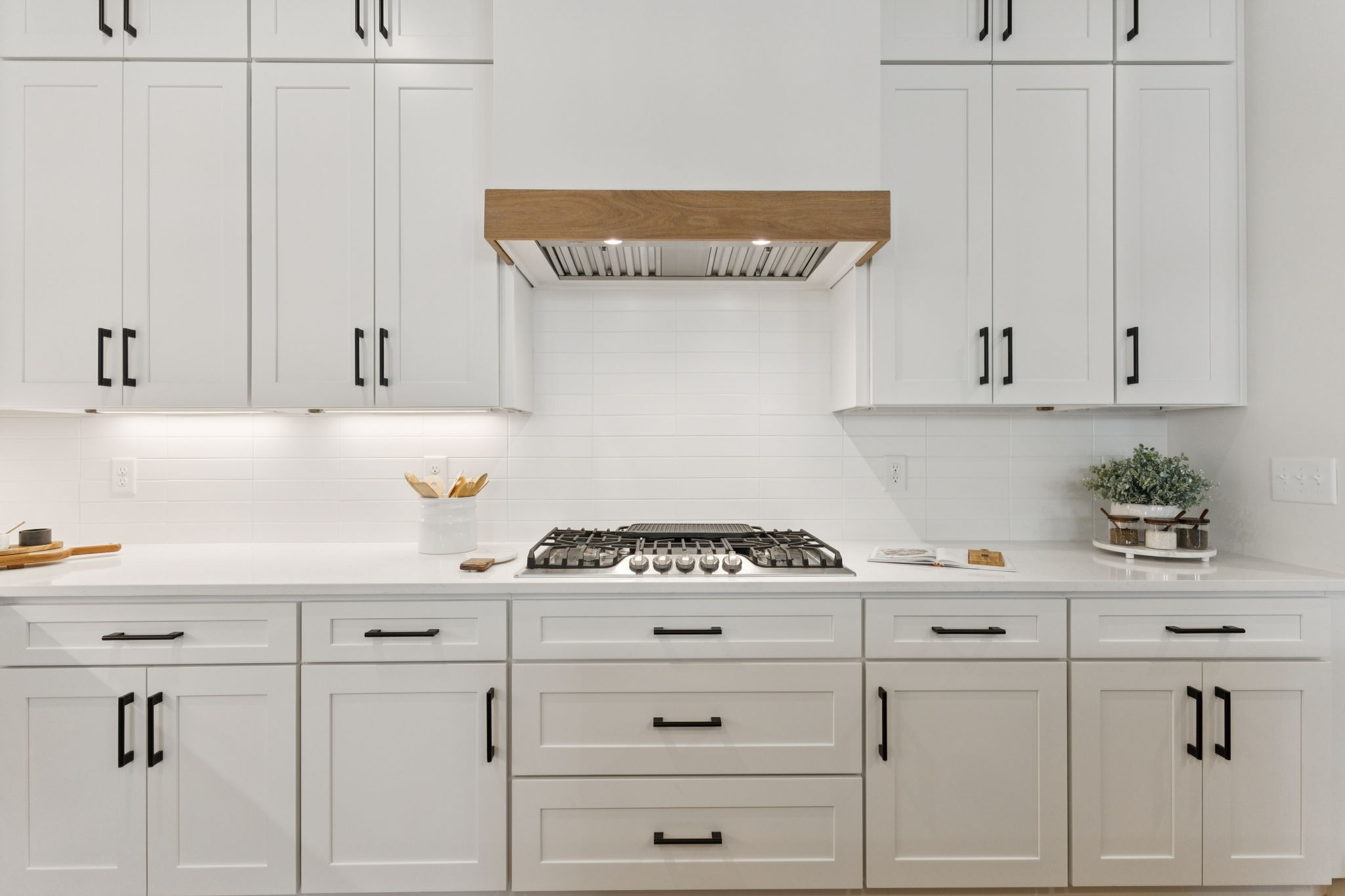 2935 Avenue Downs Dr