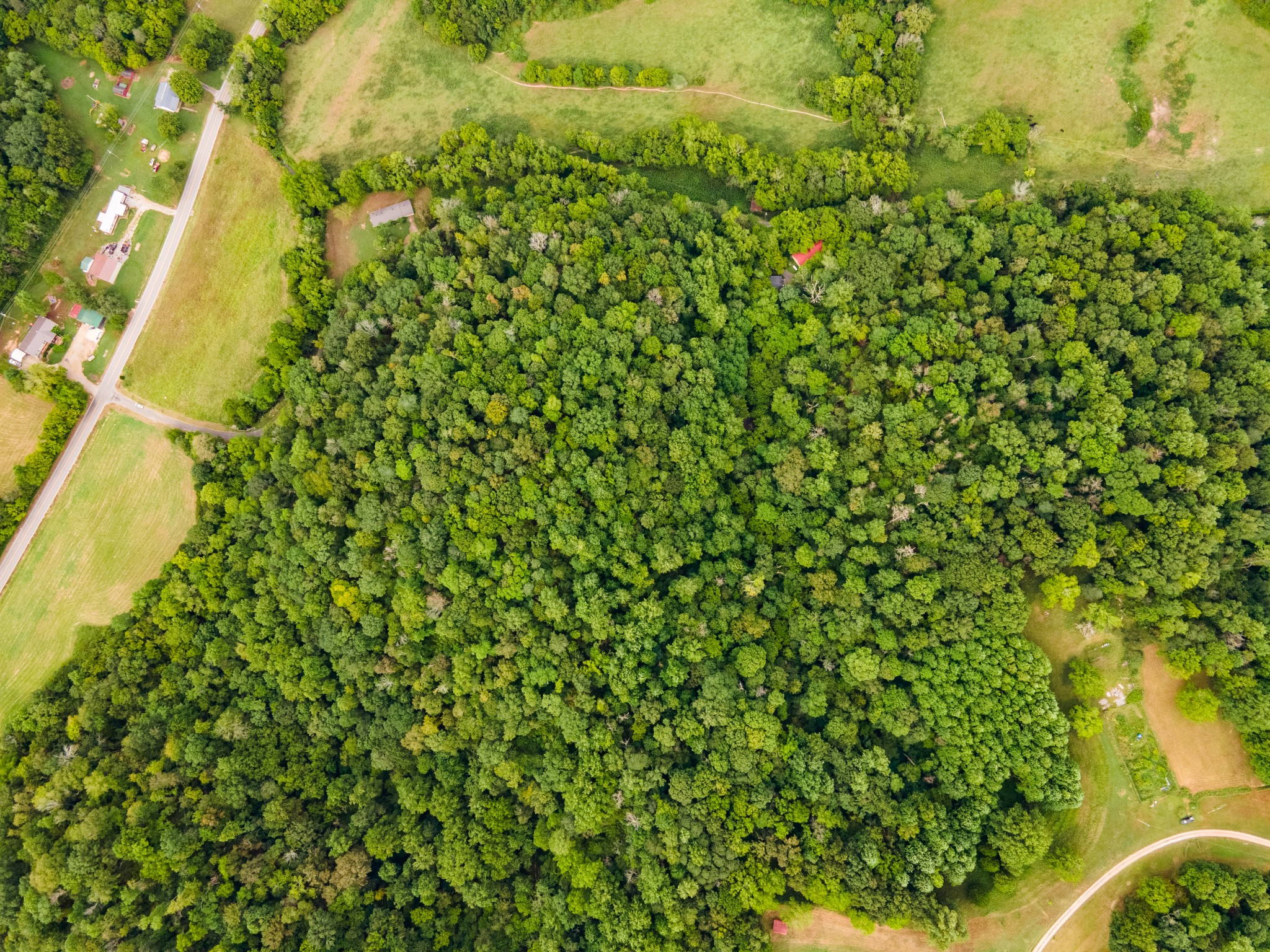 3045 Robert Skelley Rd