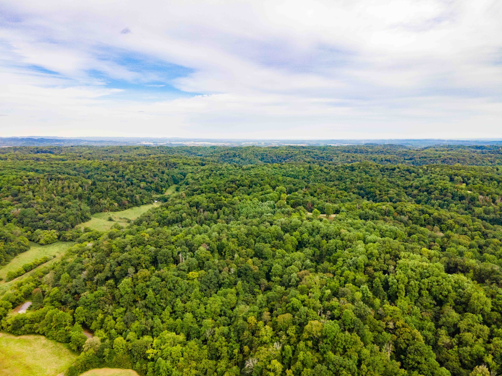 3045 Robert Skelley Rd