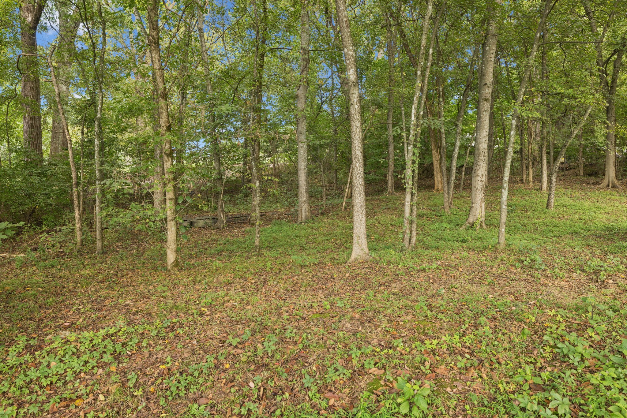 2288 Harlan Rd