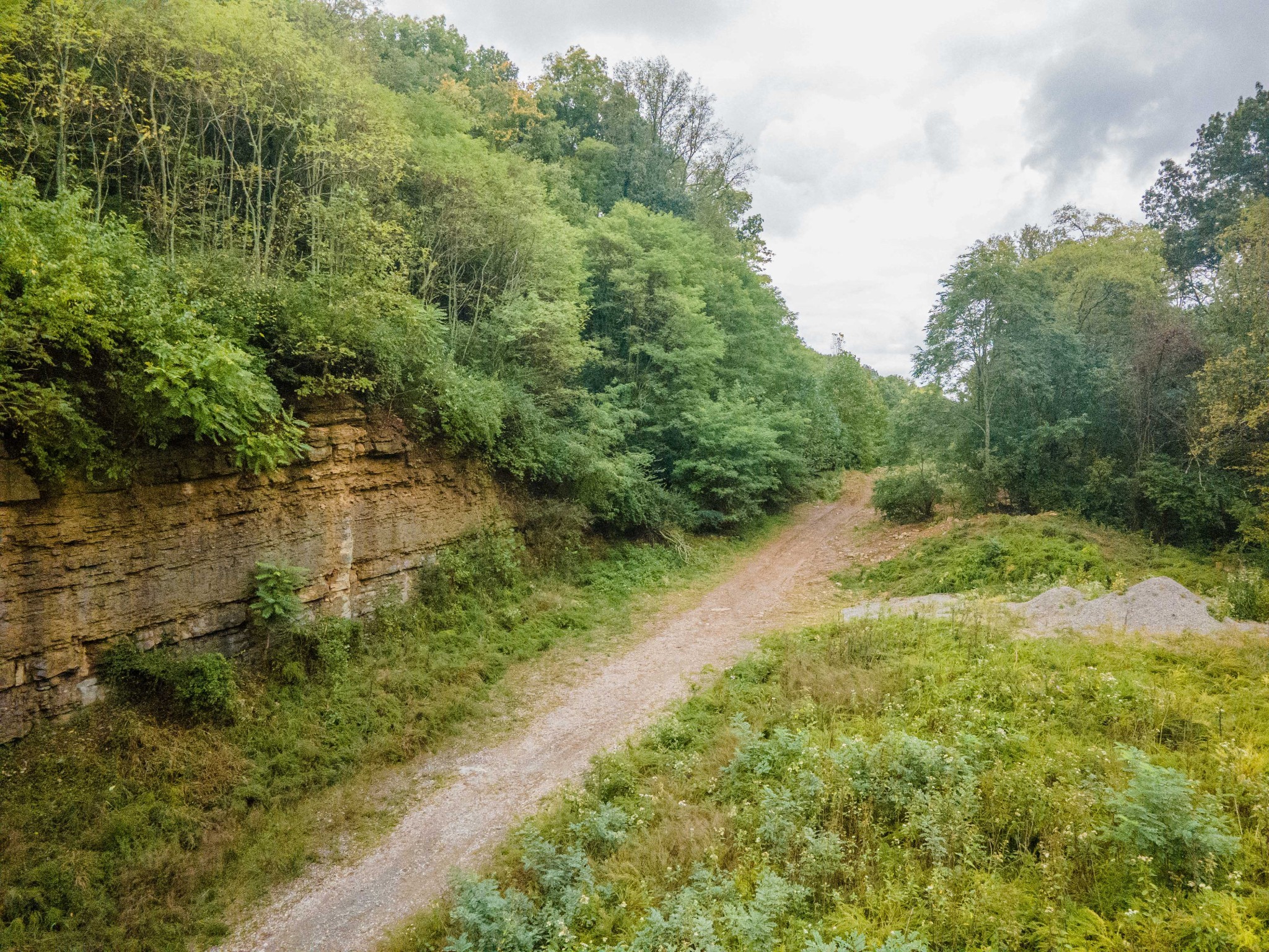 1015 Cartwright Close Dr