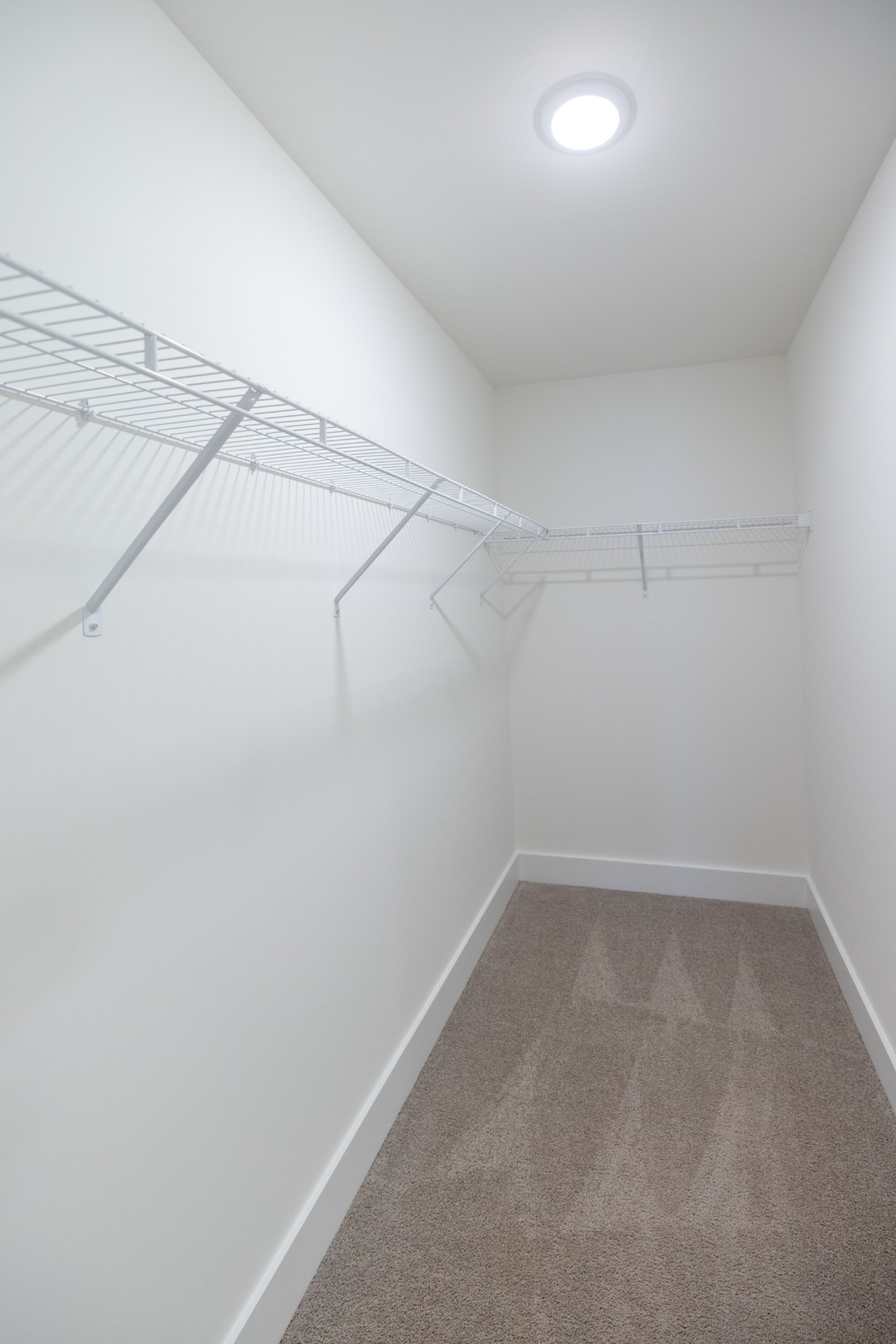 1103 Sweetleaf Dr