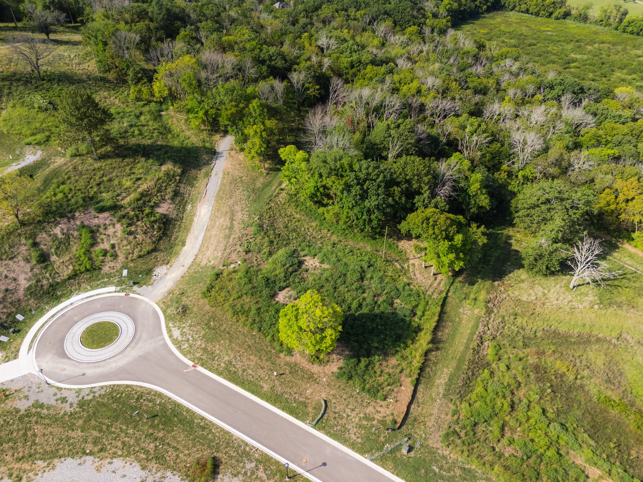 9227 Old Smyrna Rd Lot 5