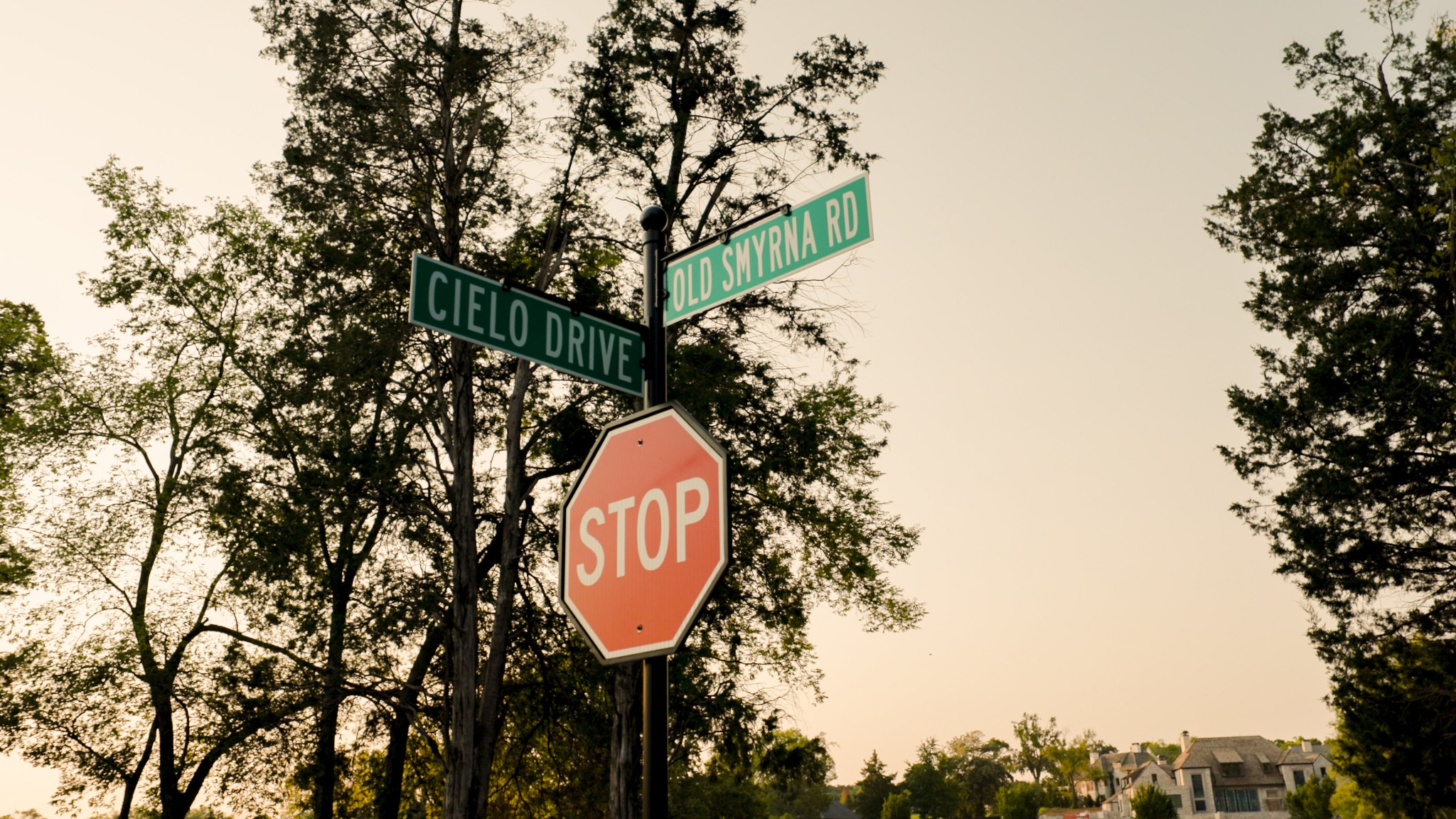 9227 Old Smyrna Rd Lot 9