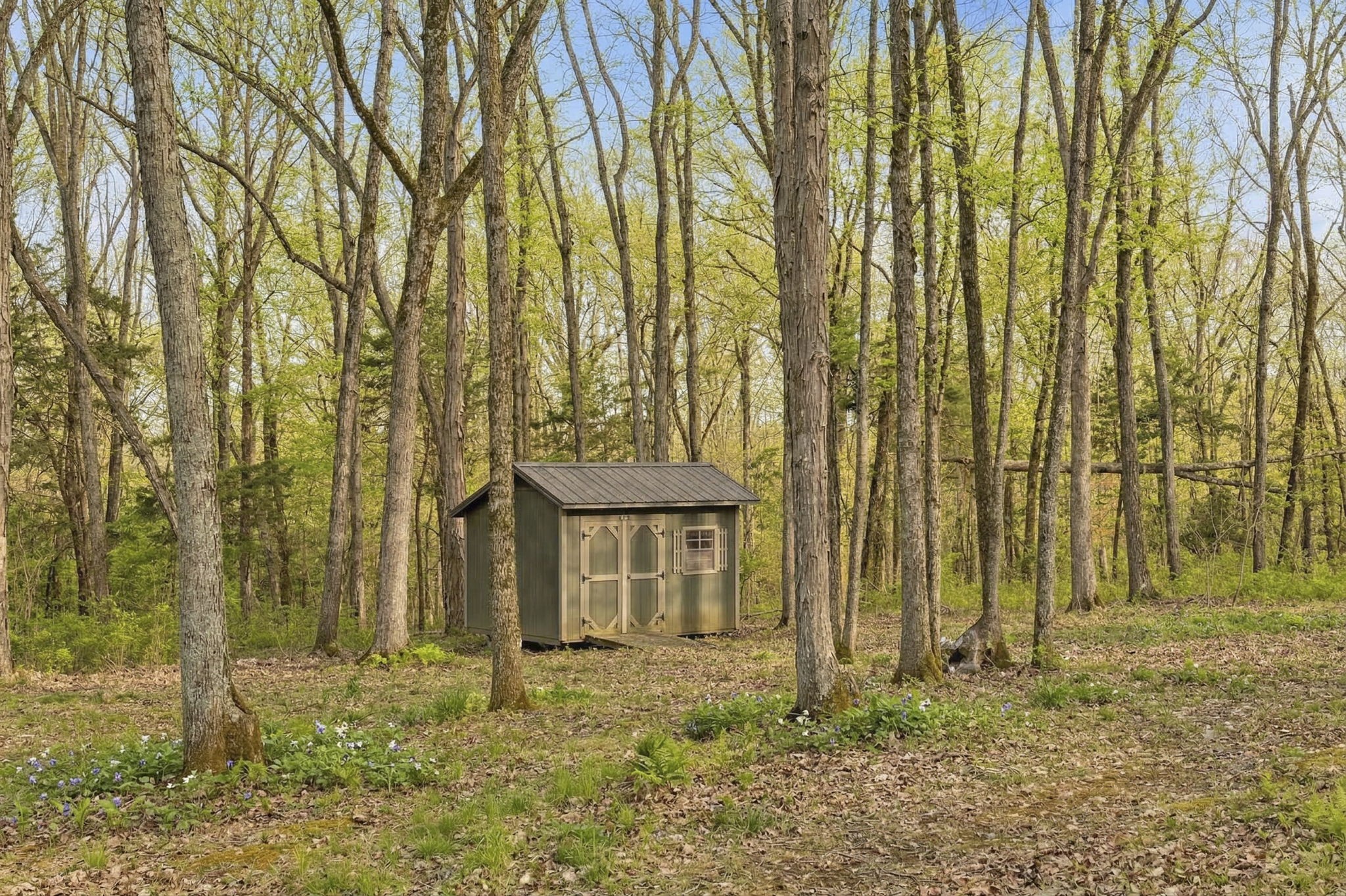 3888 Coleman Hill Rd