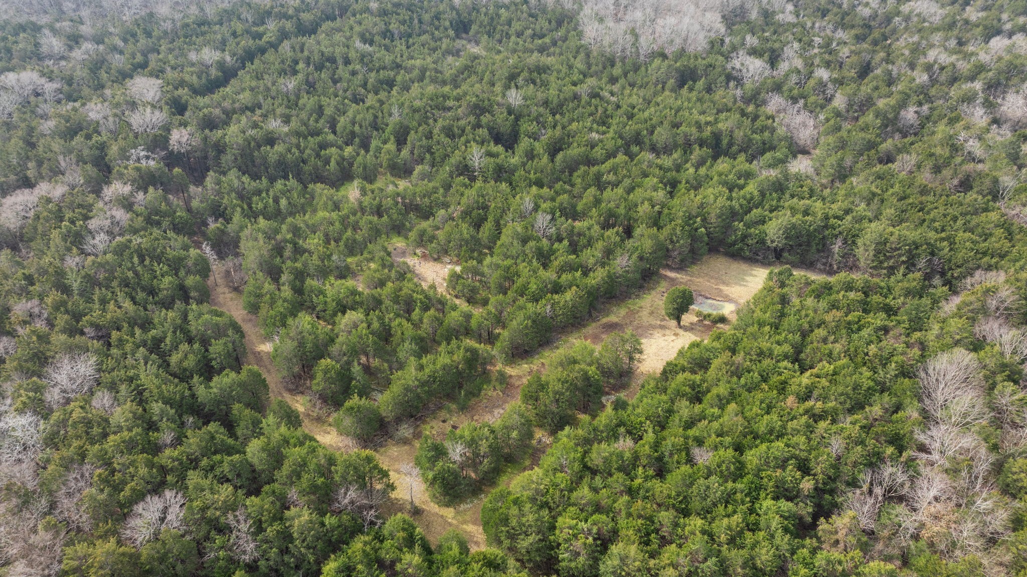 3888 Coleman Hill Rd