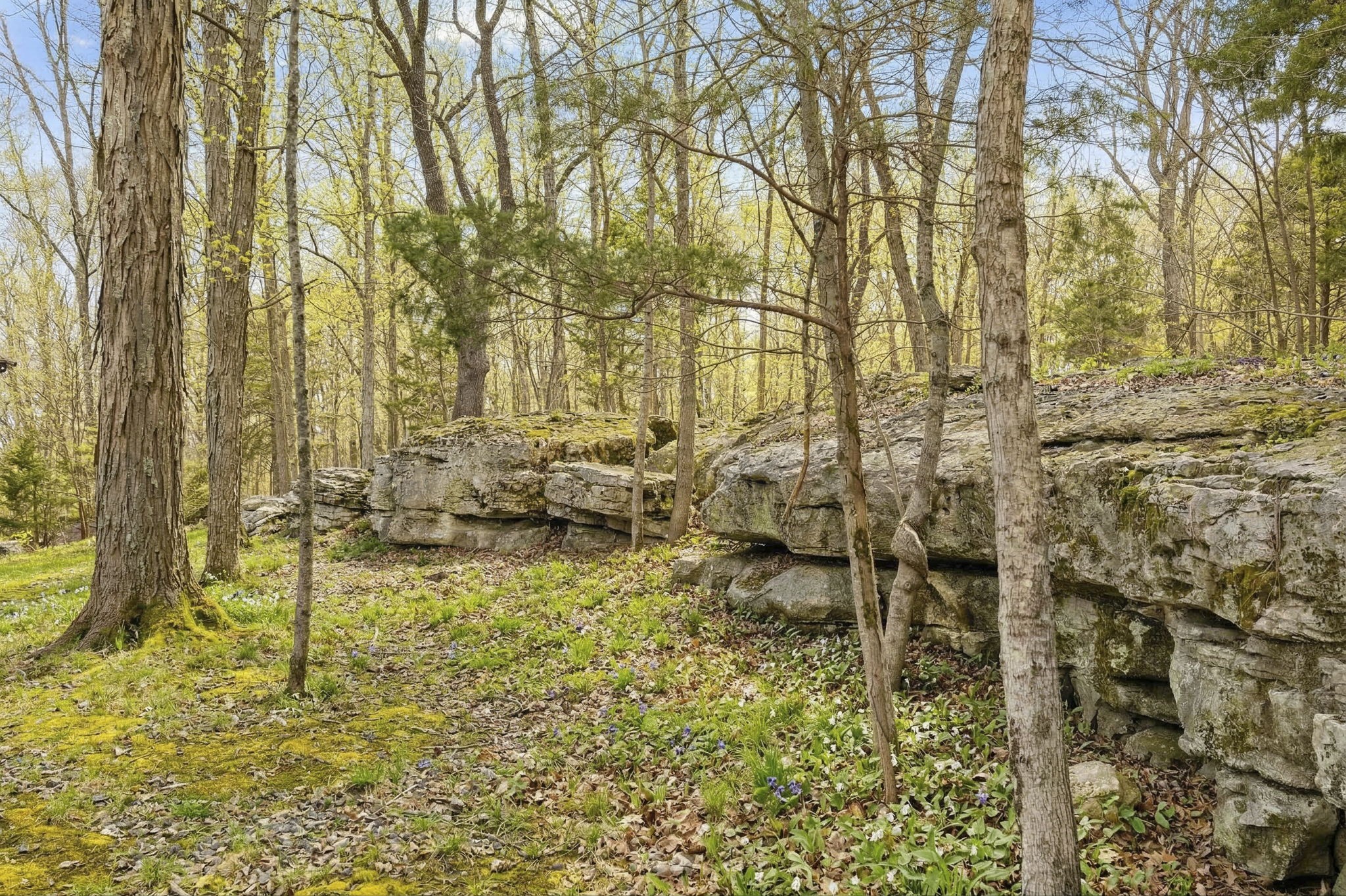 3888 Coleman Hill Rd