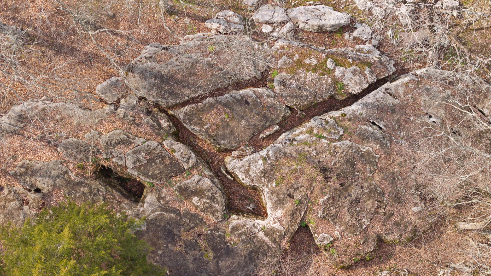 3888 Coleman Hill Rd