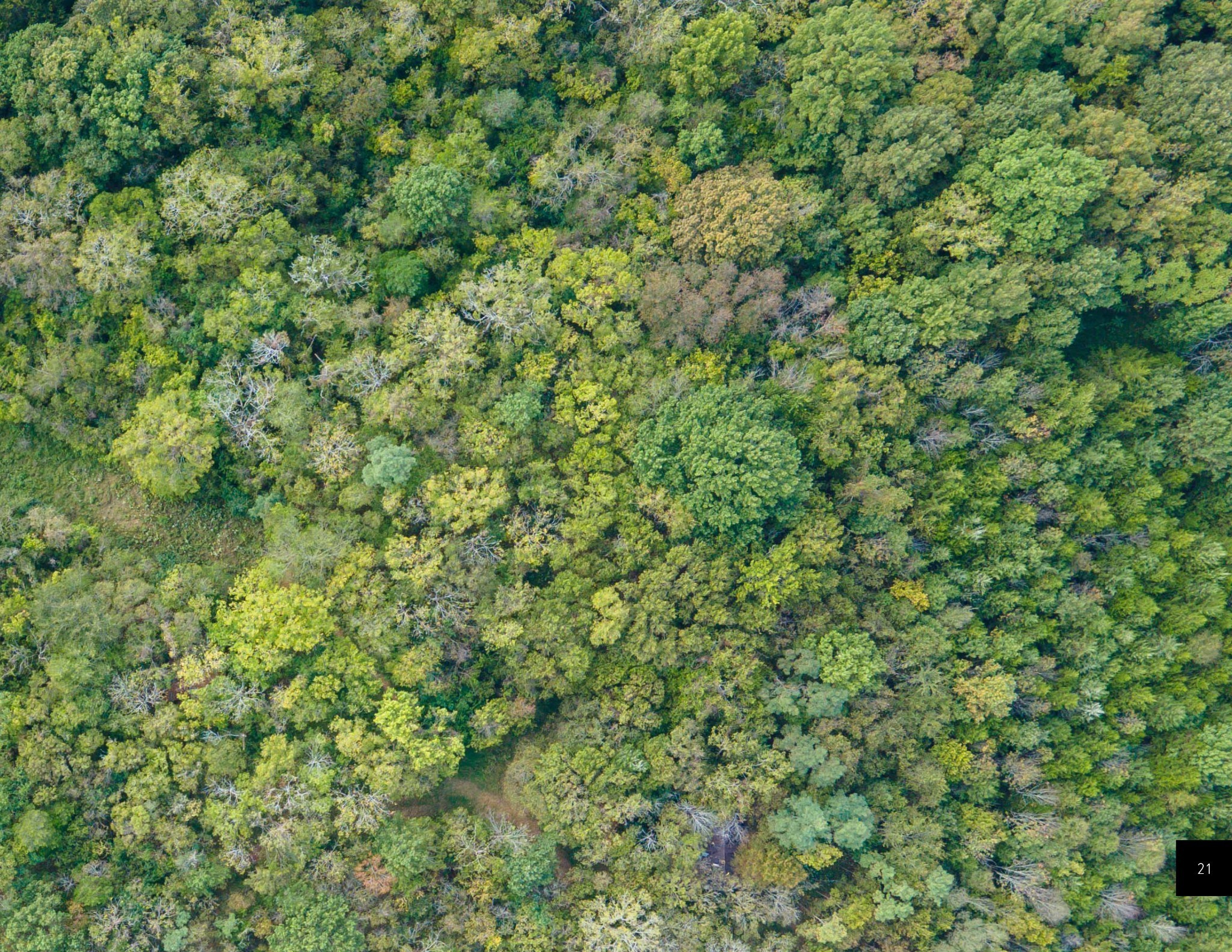 8108 Fox Wander Trail