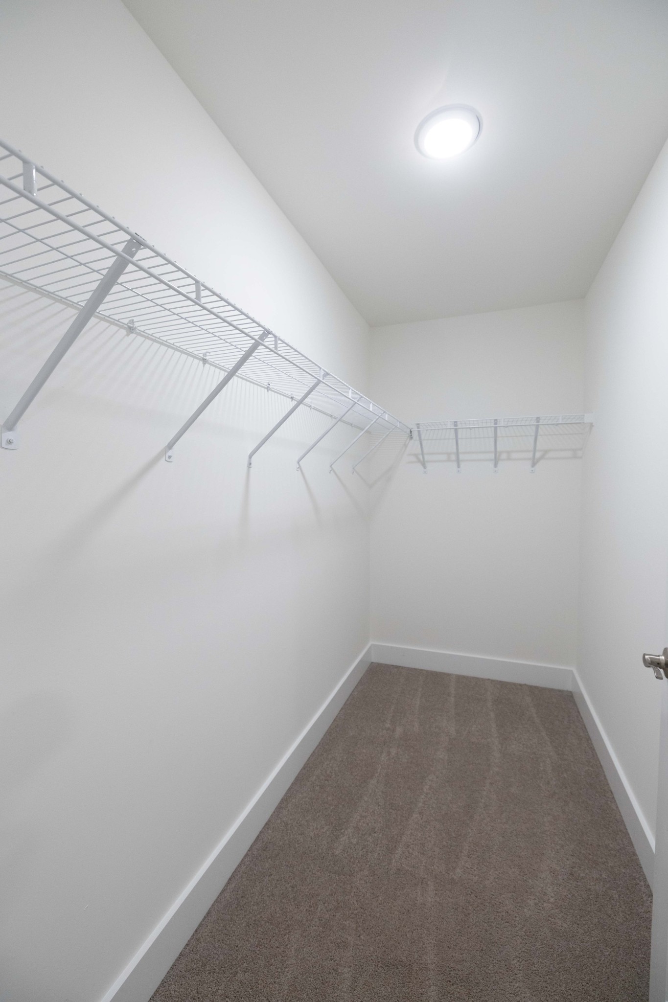 1079 Sweetleaf Dr