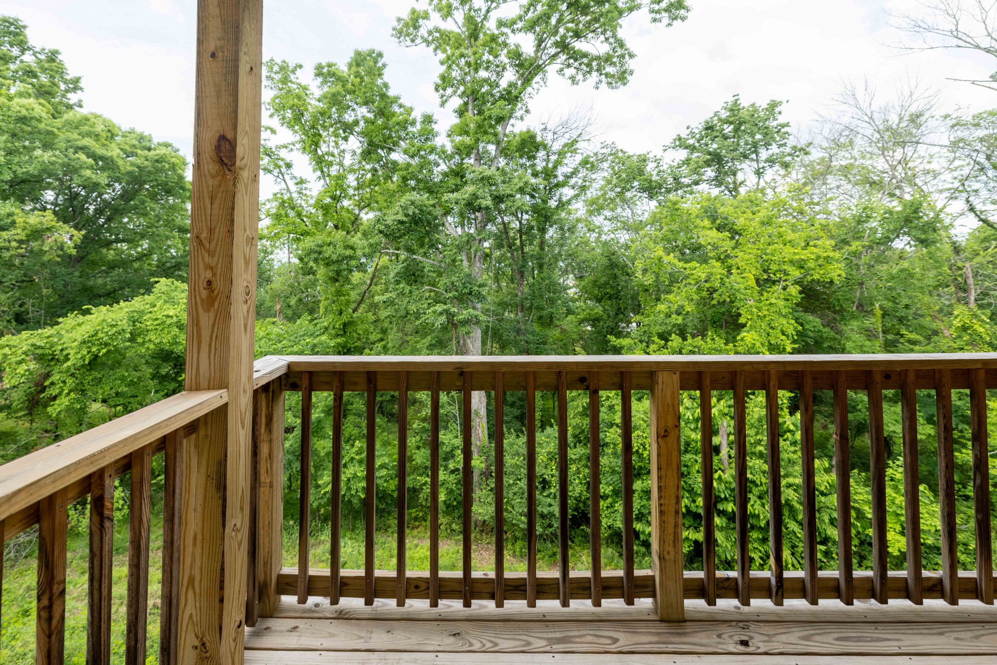 1109 Sweetleaf Dr