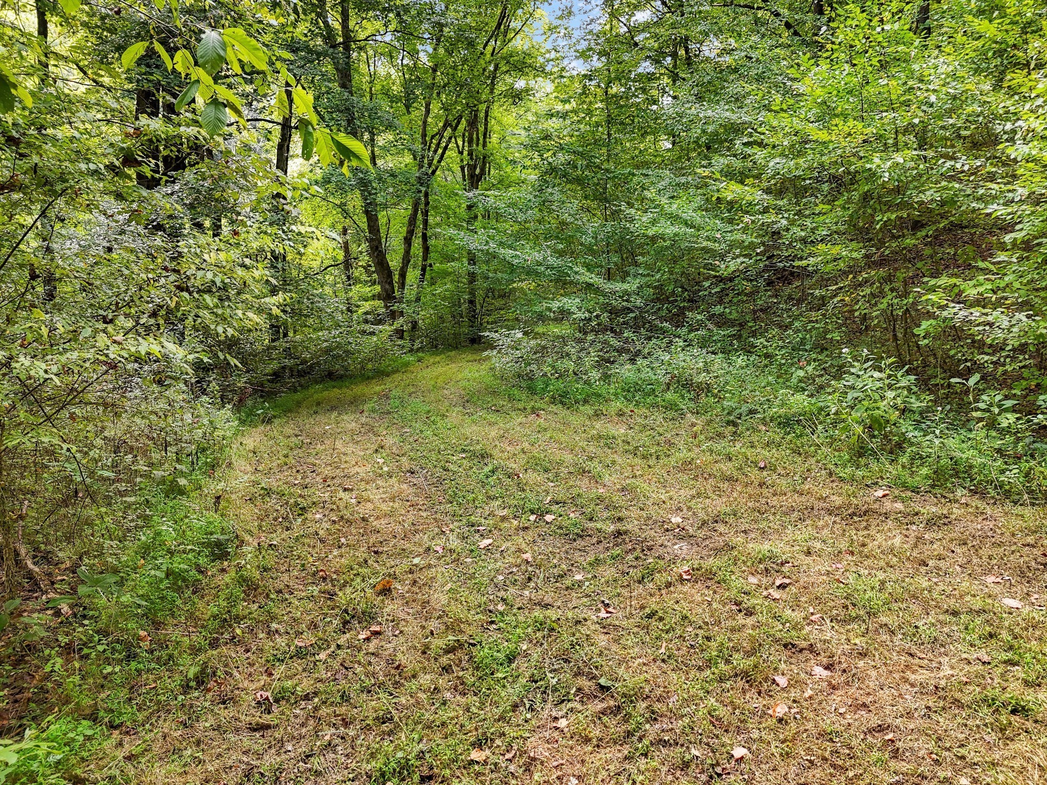 1344 Cut Off Rd