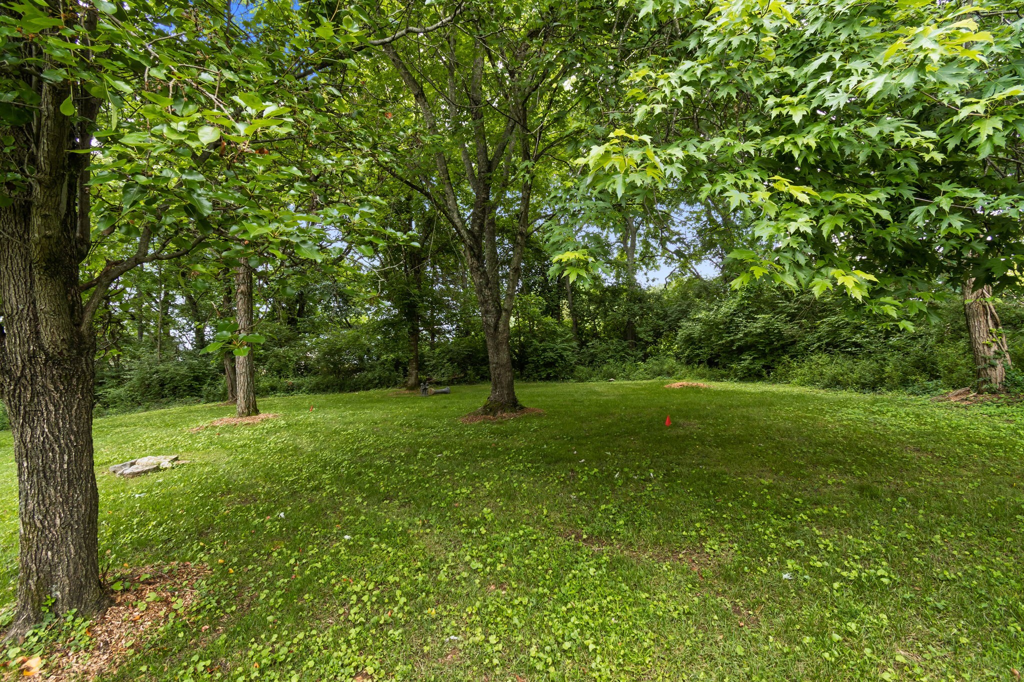 804 Highgrove Cir