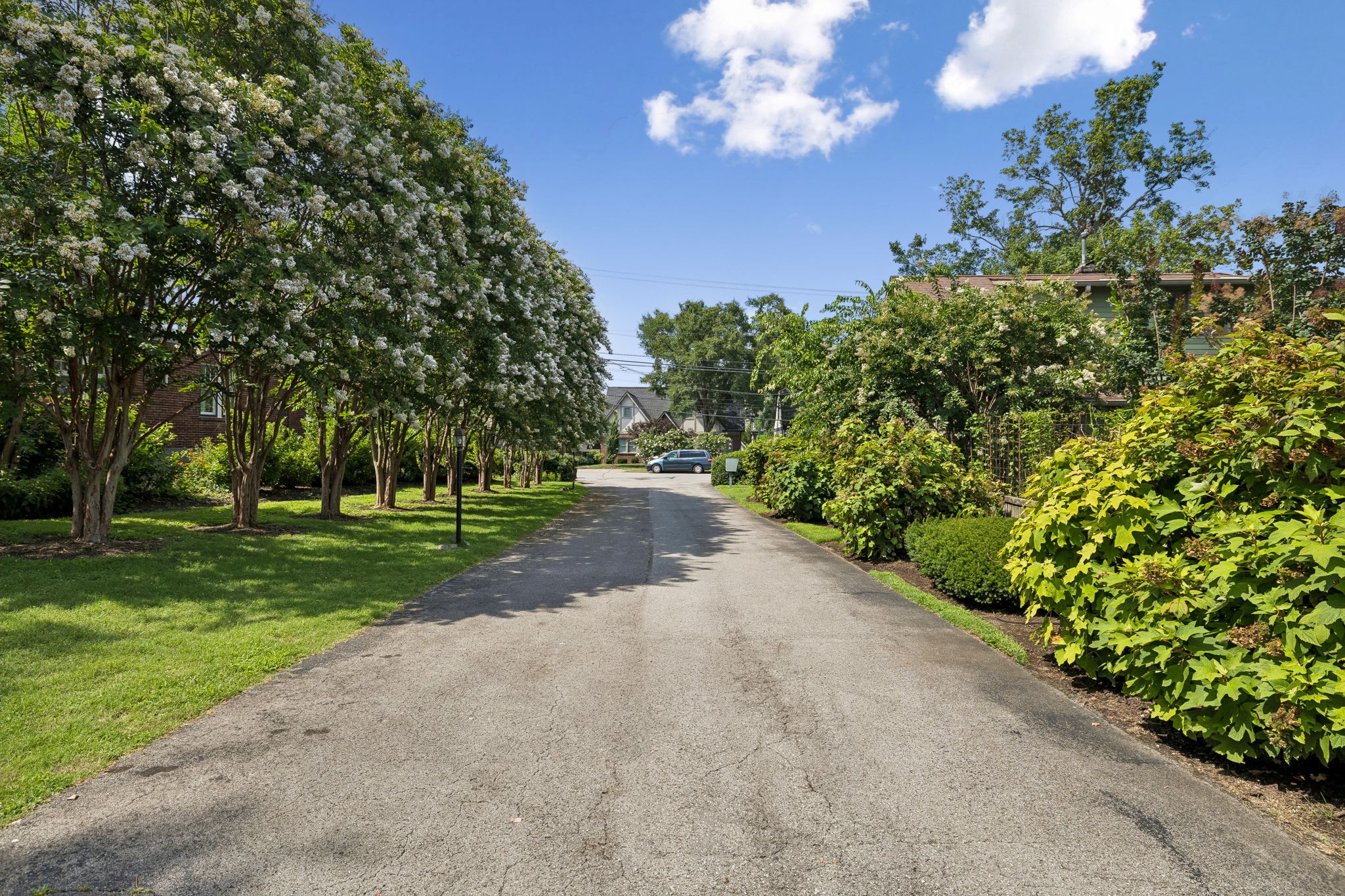 101 Bonnie Briar Ln
