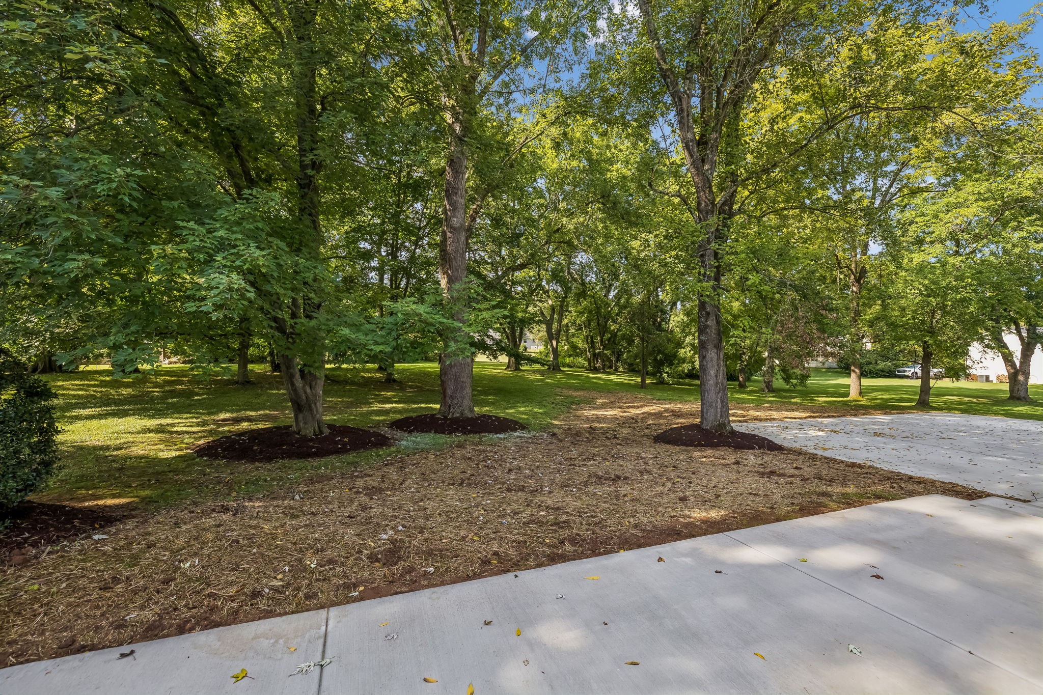 8113 Warner Rd