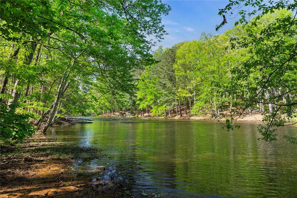 3290 Dunlop Court NE