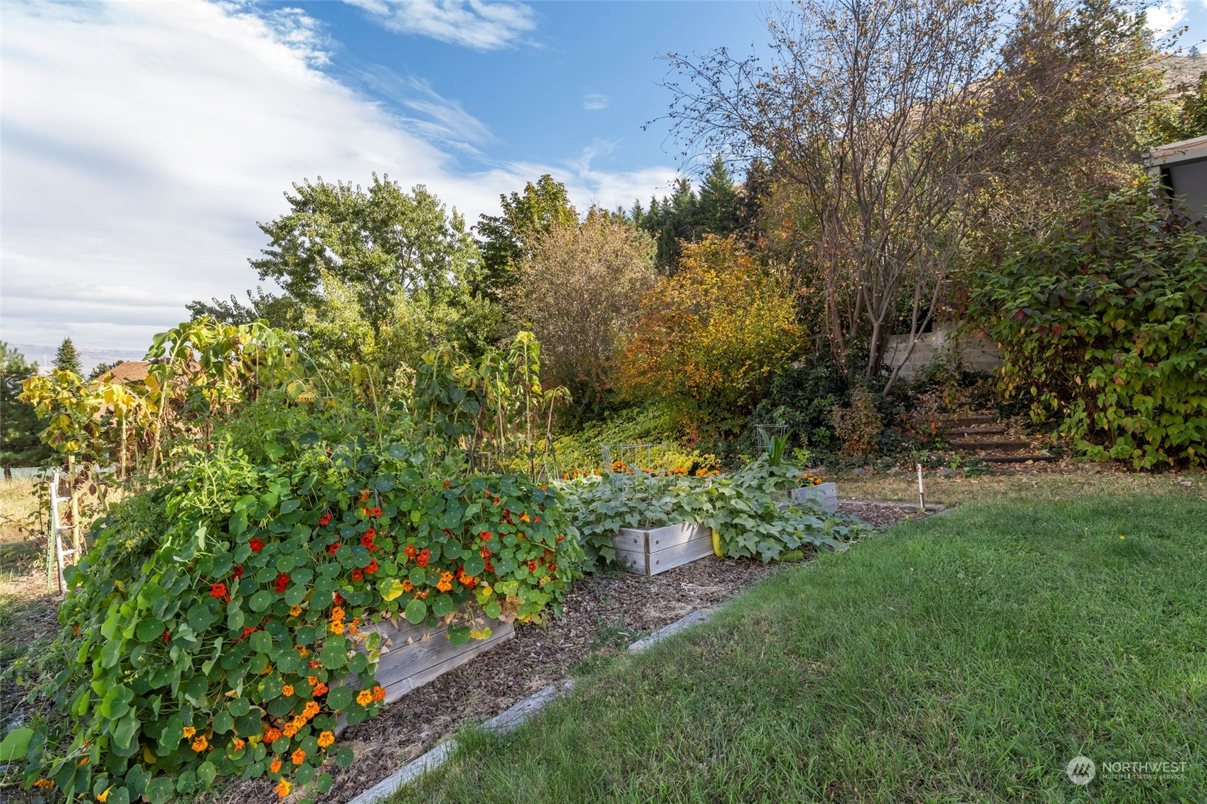 2919 Number 1 Canyon Road