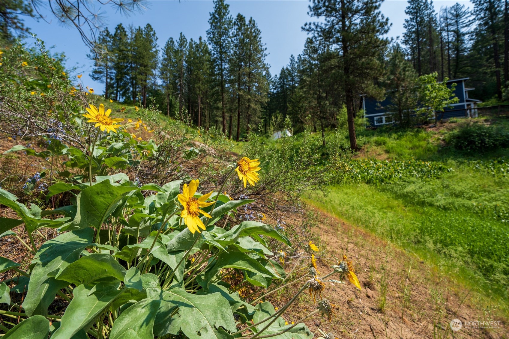 4011 Camas Creek Road