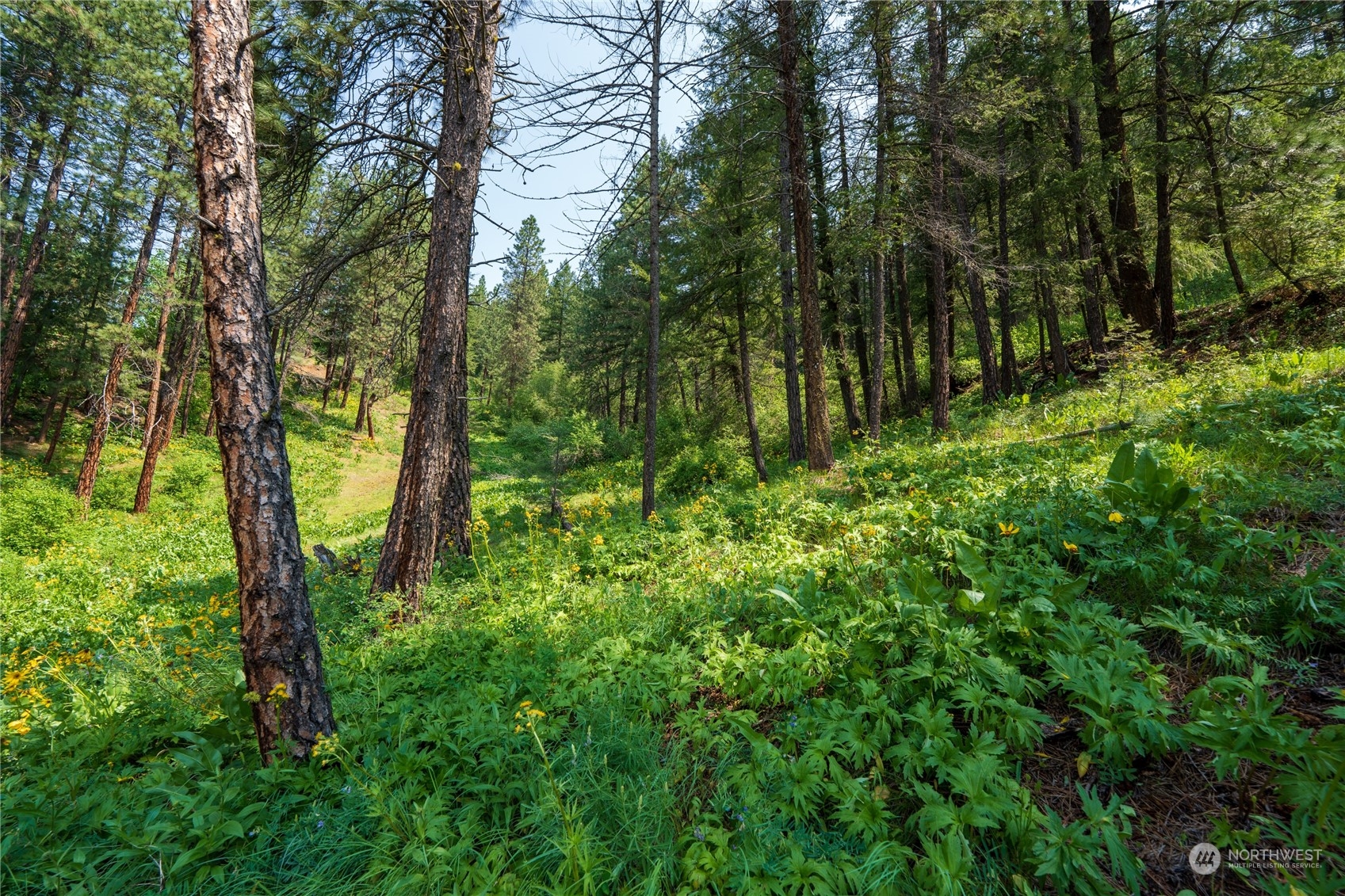 4011 Camas Creek Road