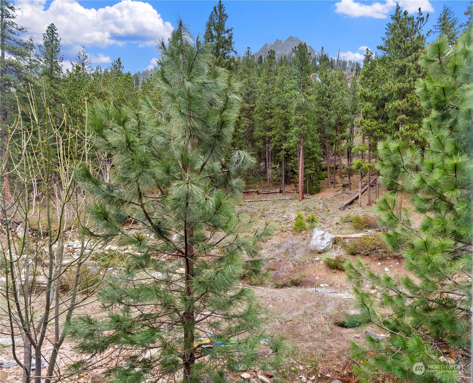 23119 Lake Wenatchee Hiway