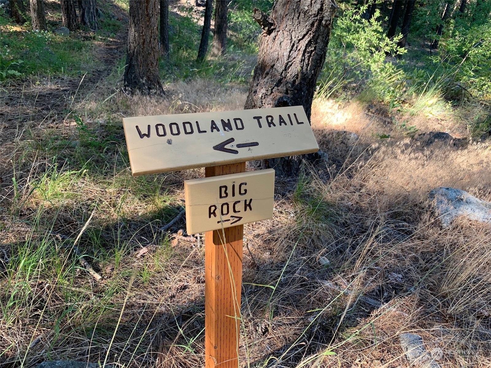 12758 Pine Ridge Drive