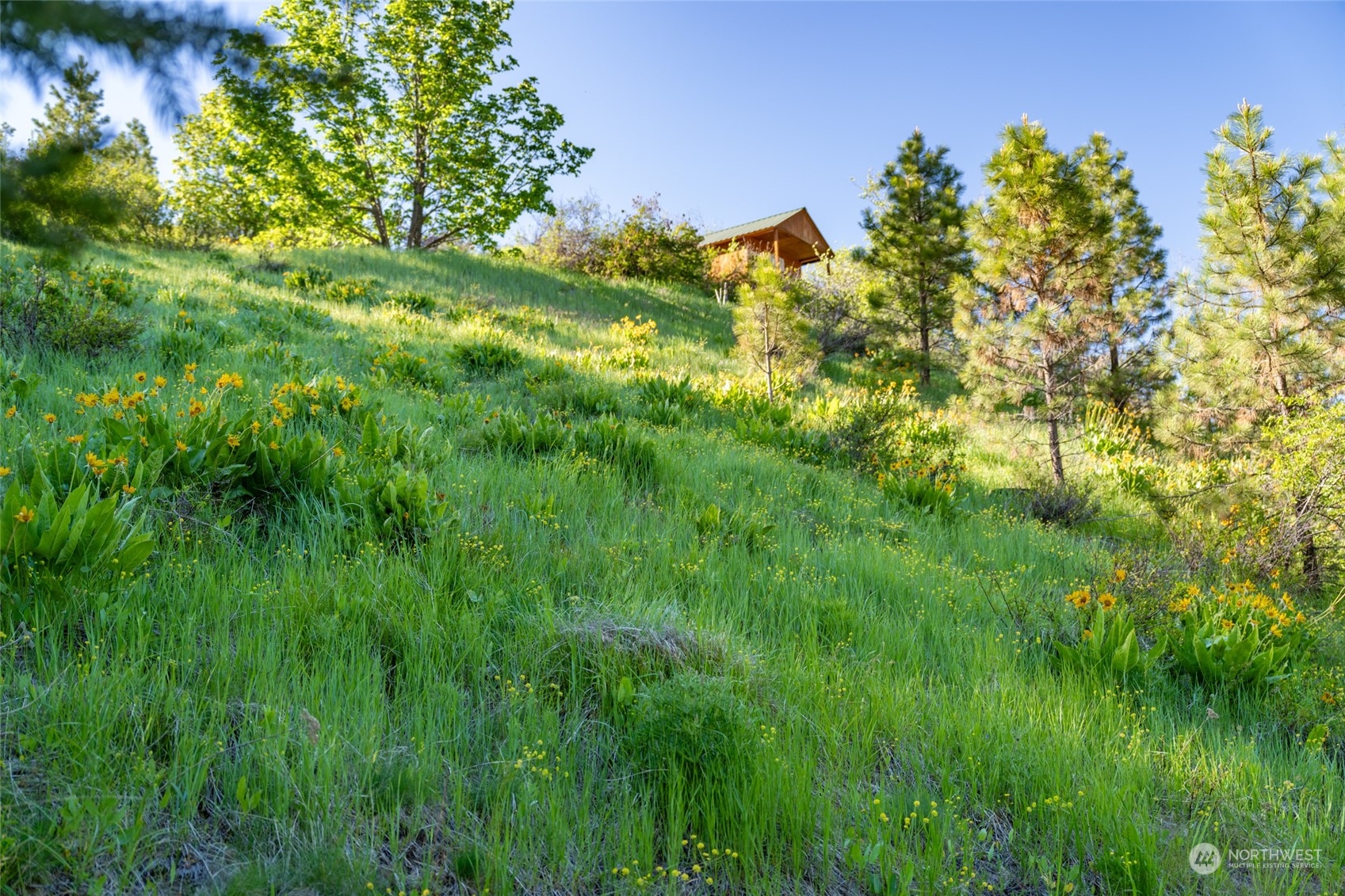 5618 Mountain Lane Road