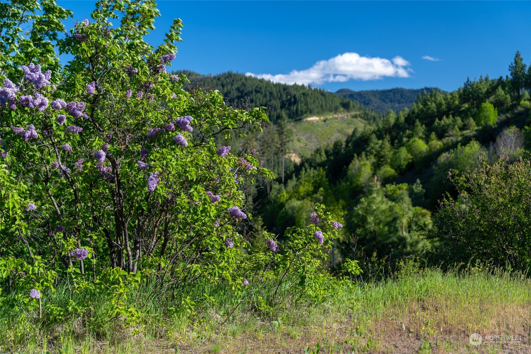 5618 Mountain Lane Road