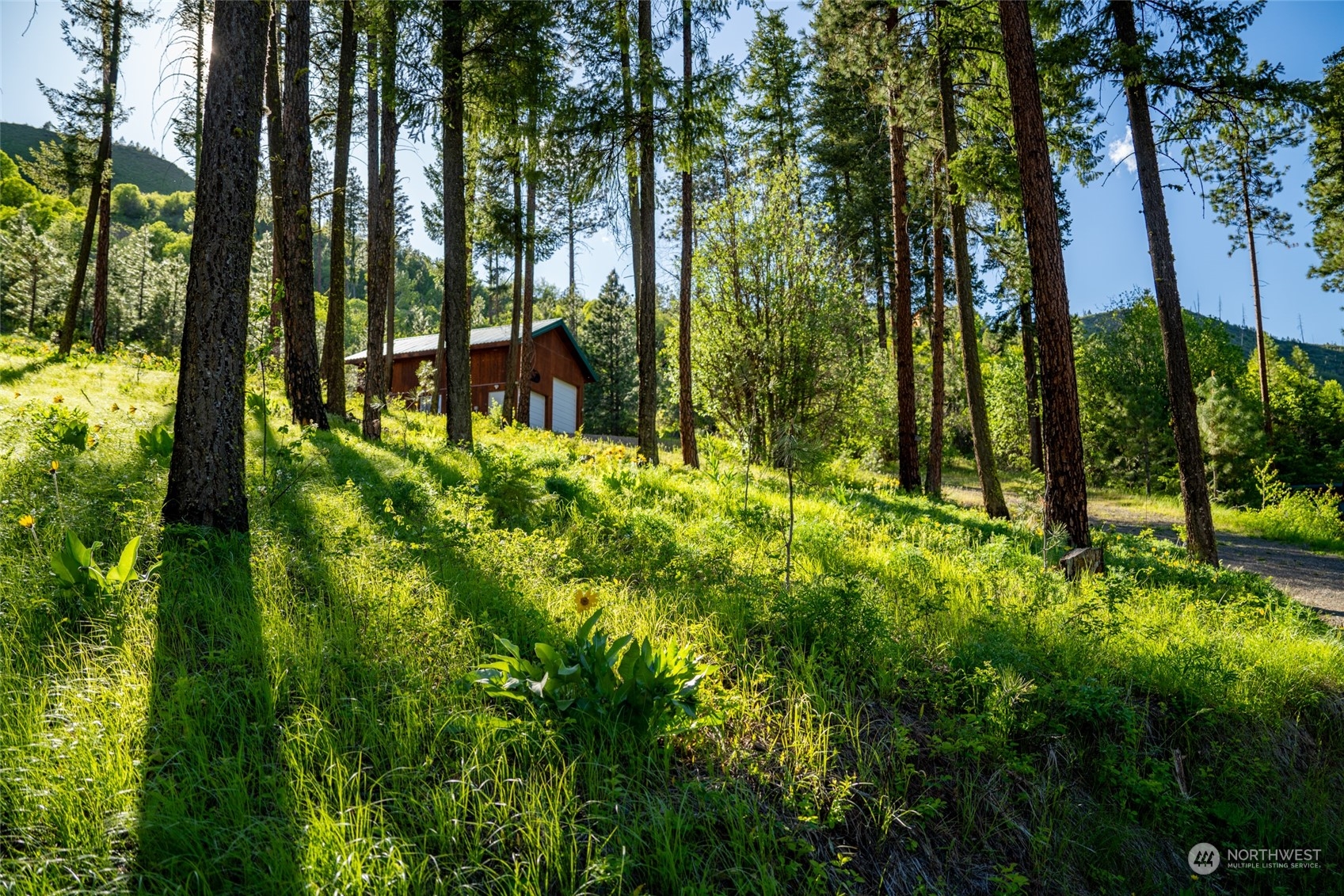 5618 Mountain Lane Road