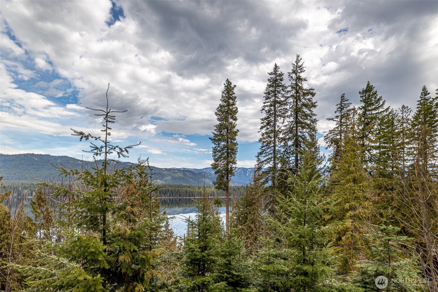 15431 Cedar Brae Road
