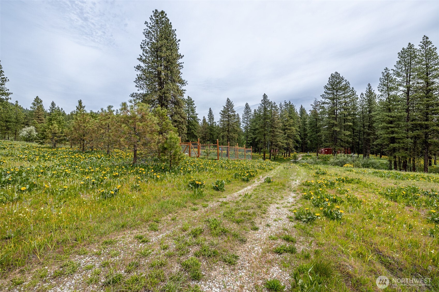 100 100 Pingrey Ln Lane