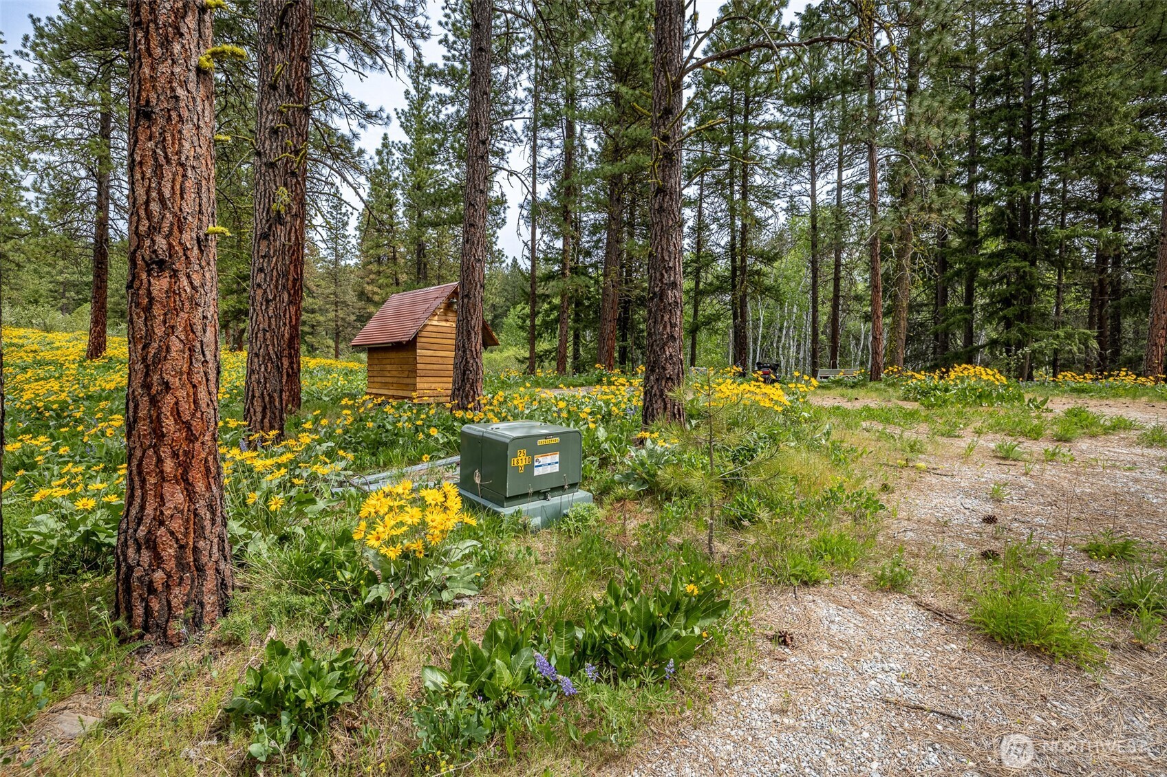 100 100 Pingrey Ln Lane