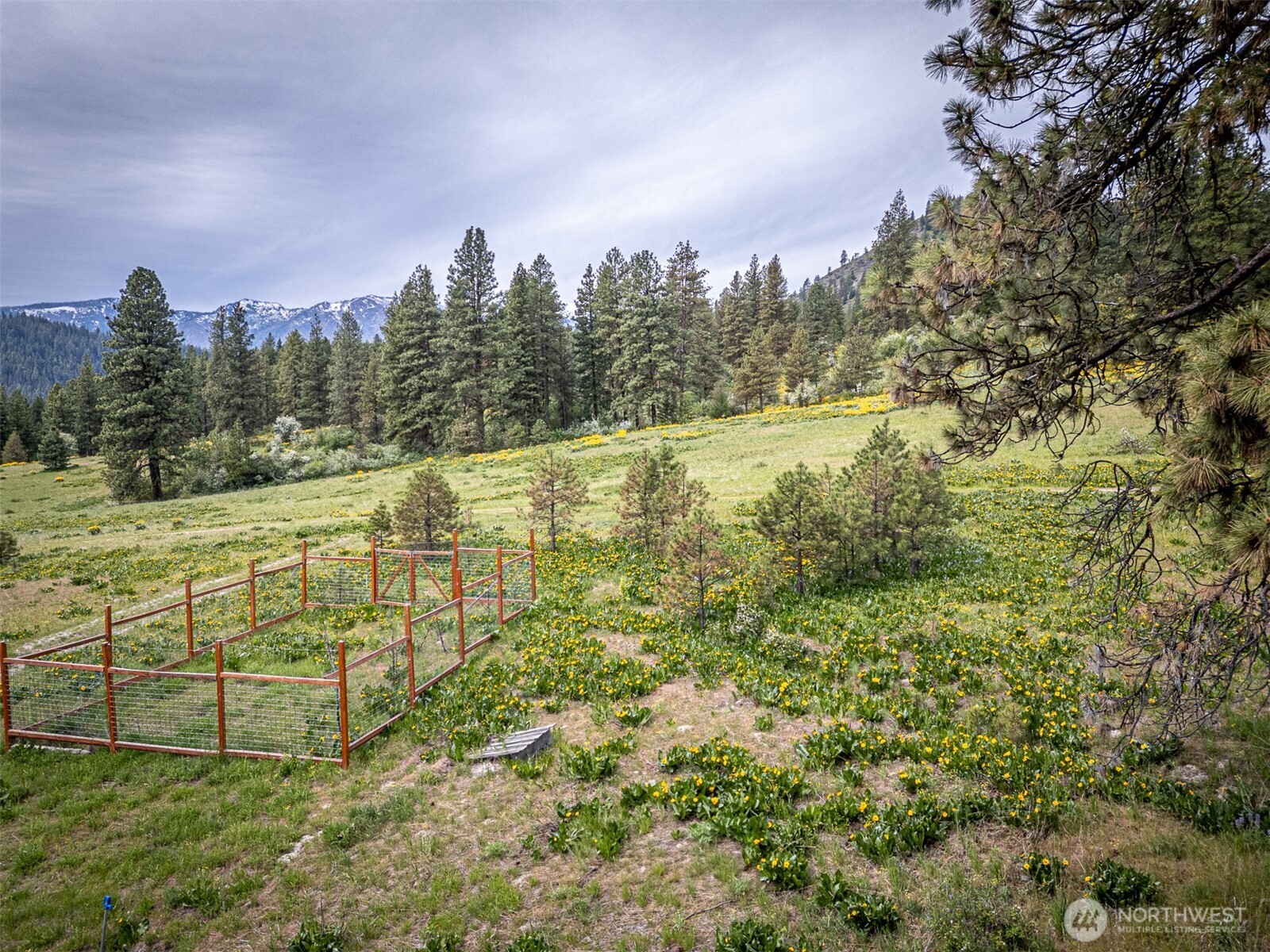 100 100 Pingrey Ln Lane