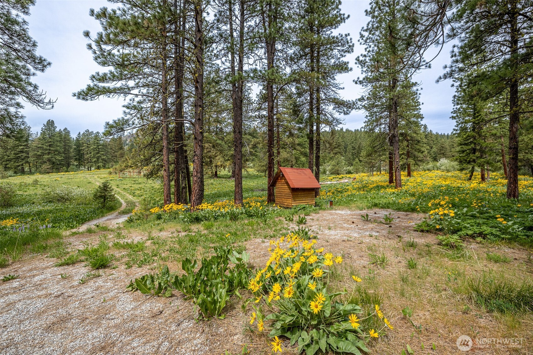 100 100 Pingrey Ln Lane