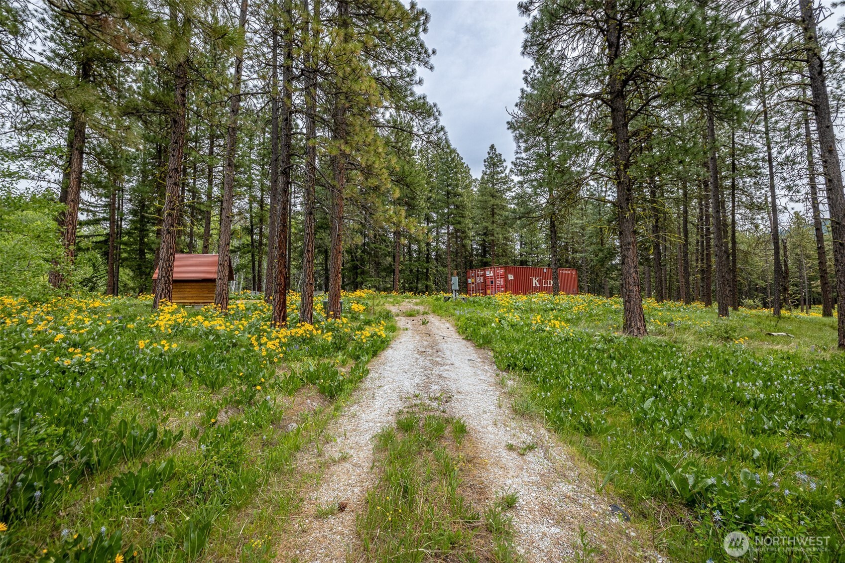 100 100 Pingrey Ln Lane