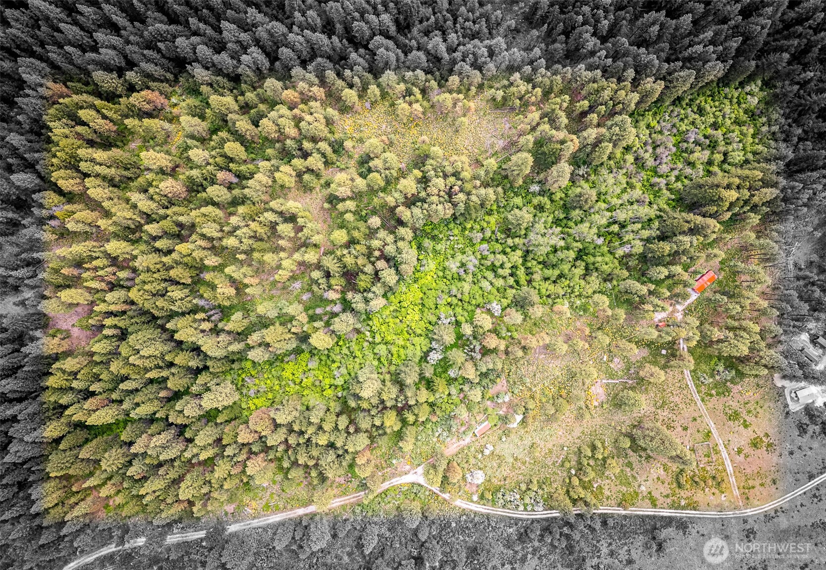 100 100 Pingrey Ln Lane