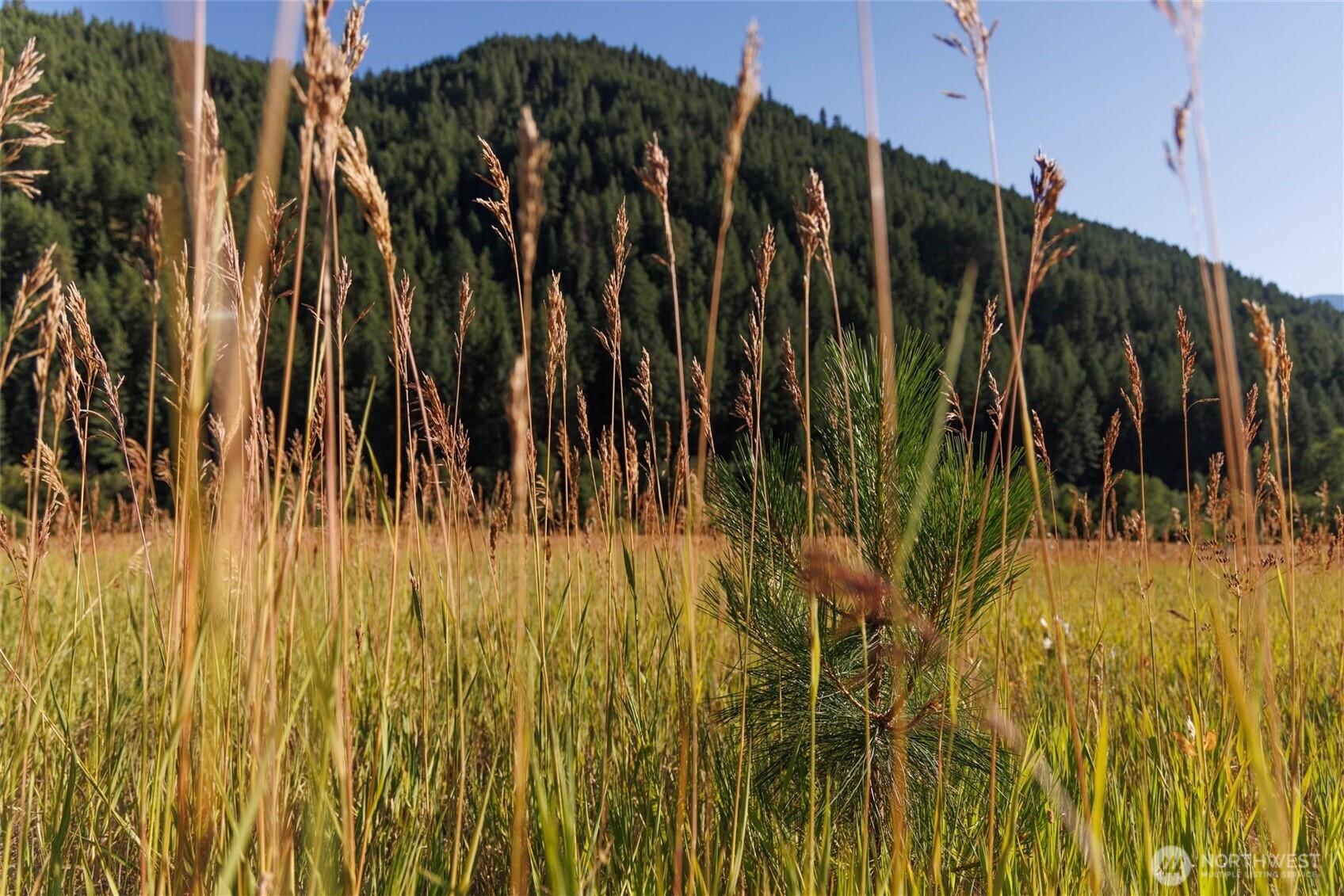 10479 Eagle Creek Road