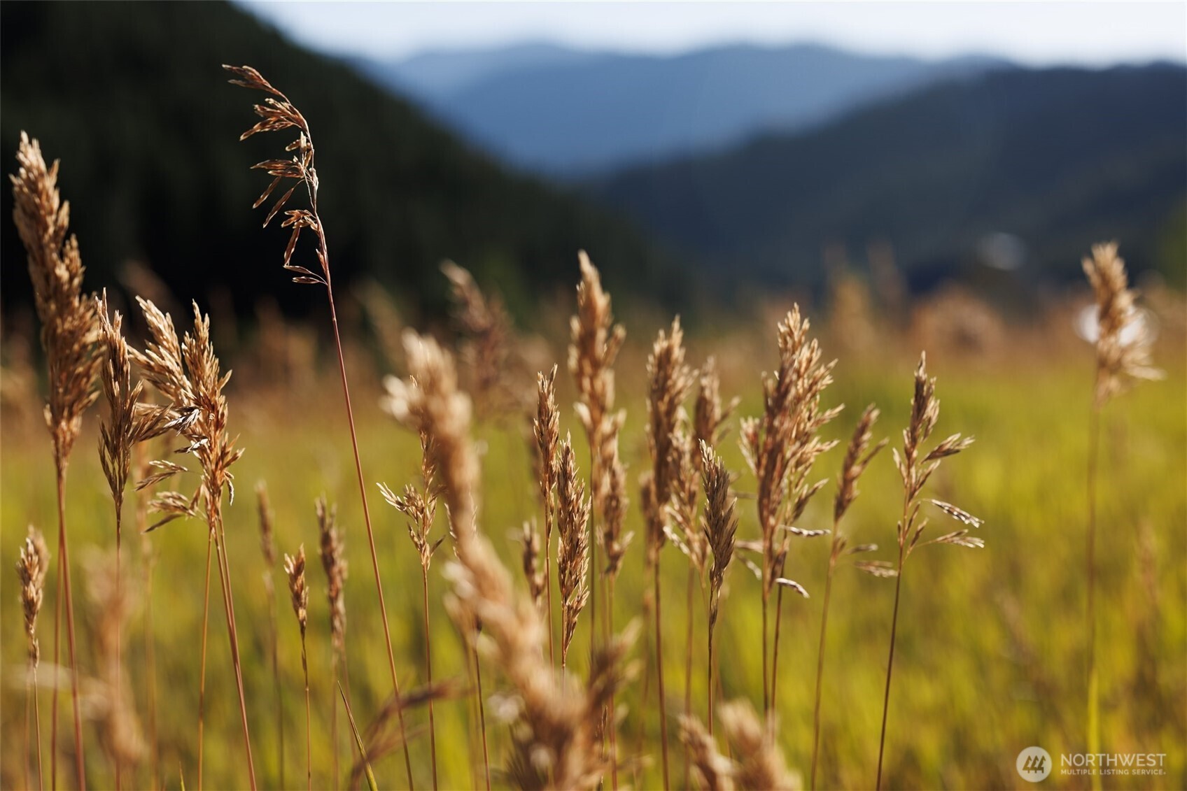 10479 Eagle Creek Road