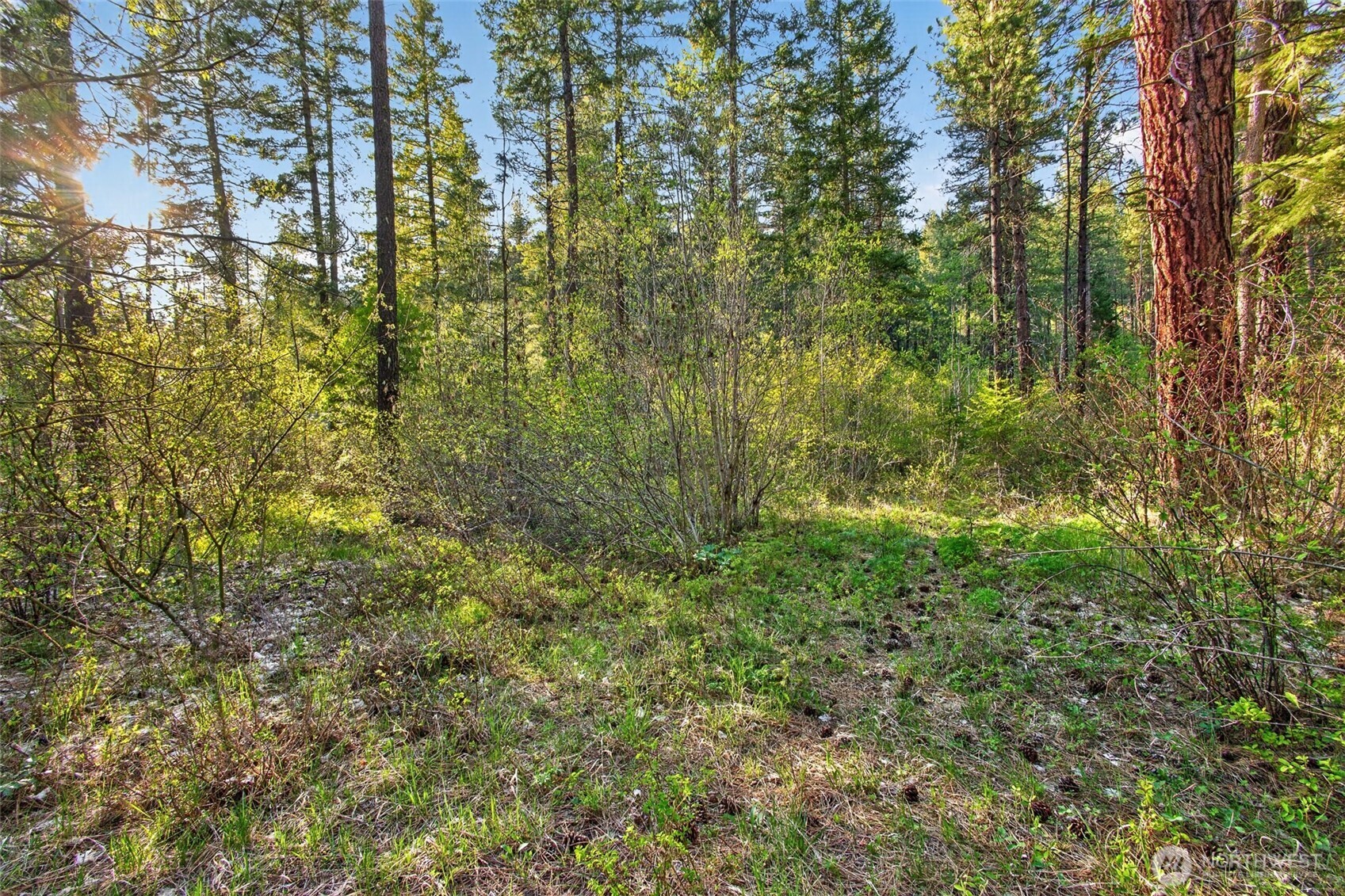 15906 River Road