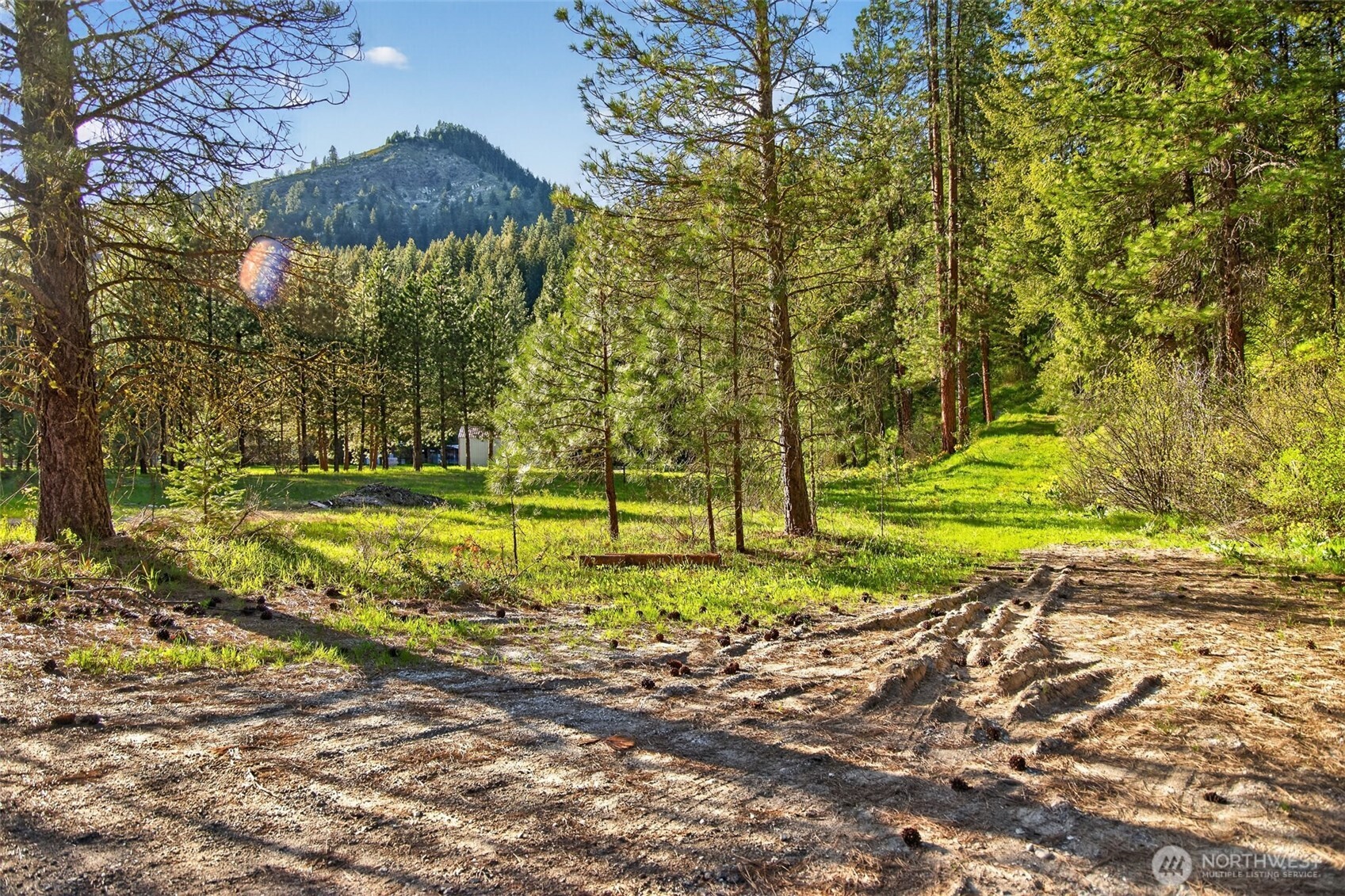 15906 River Road
