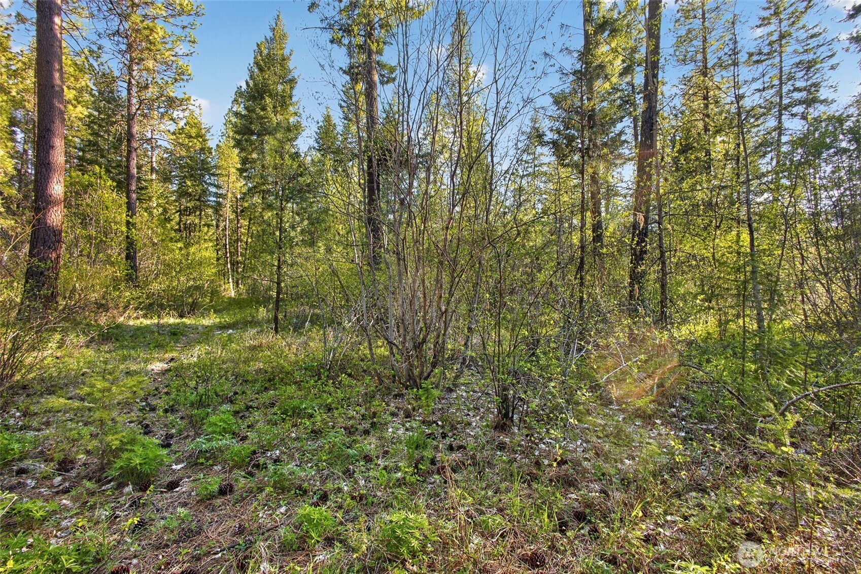 15906 River Road