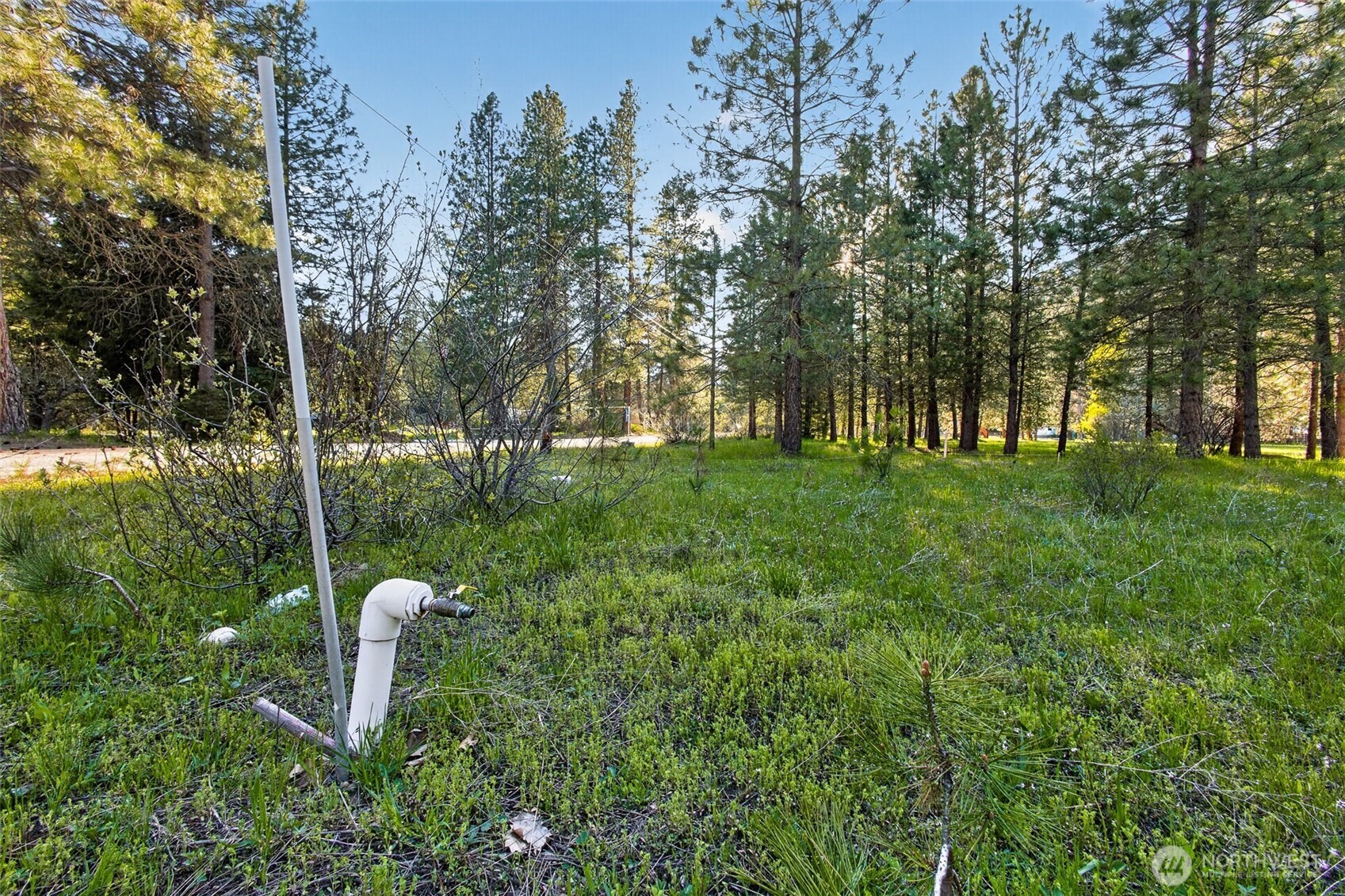 15906 River Road