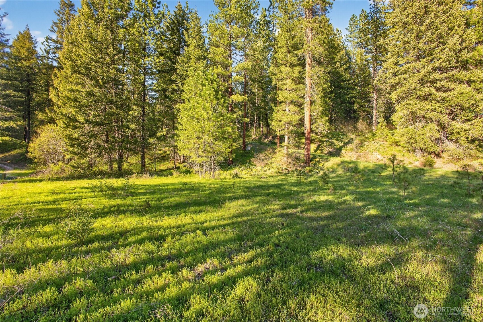 15906 River Road